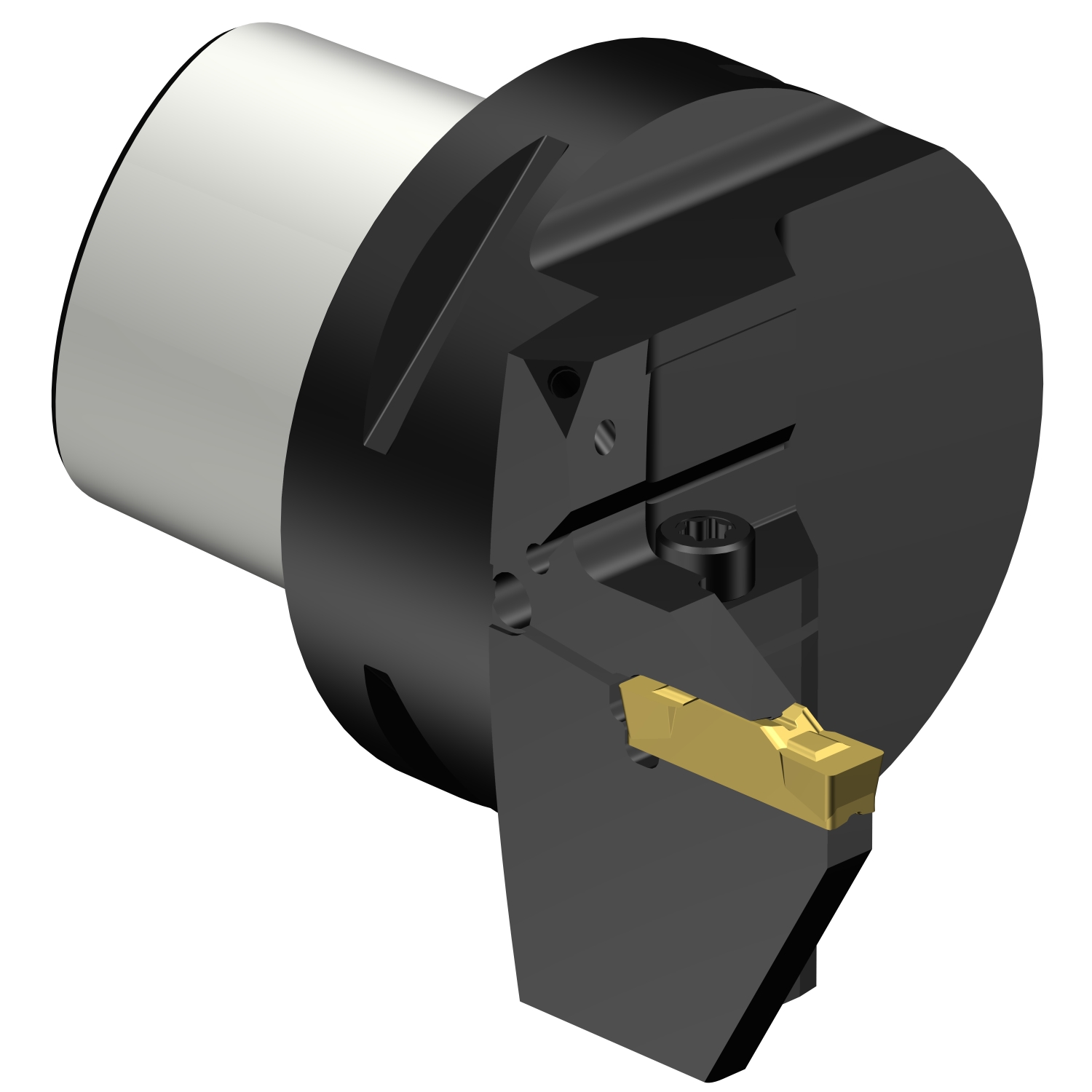 C8-LF123L25-42080B  CoroCut® 1-2 cutting unit for parting and grooving