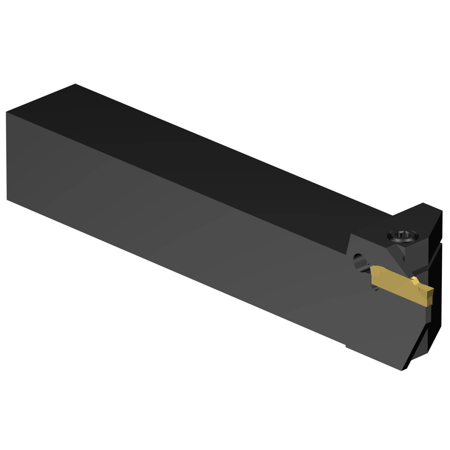 LF123F10-2525B  CoroCut® 1-2 shank tool for parting and grooving