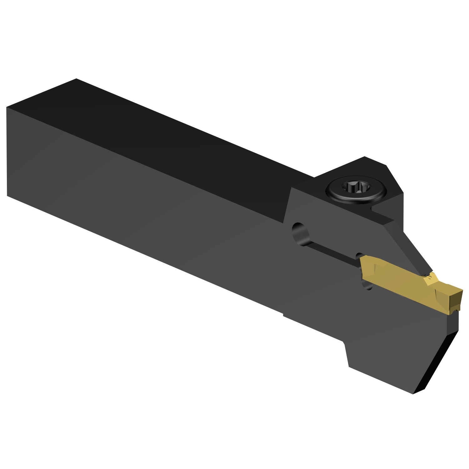 LF123H25-2020BM  CoroCut® 1-2 shank tool for parting and grooving