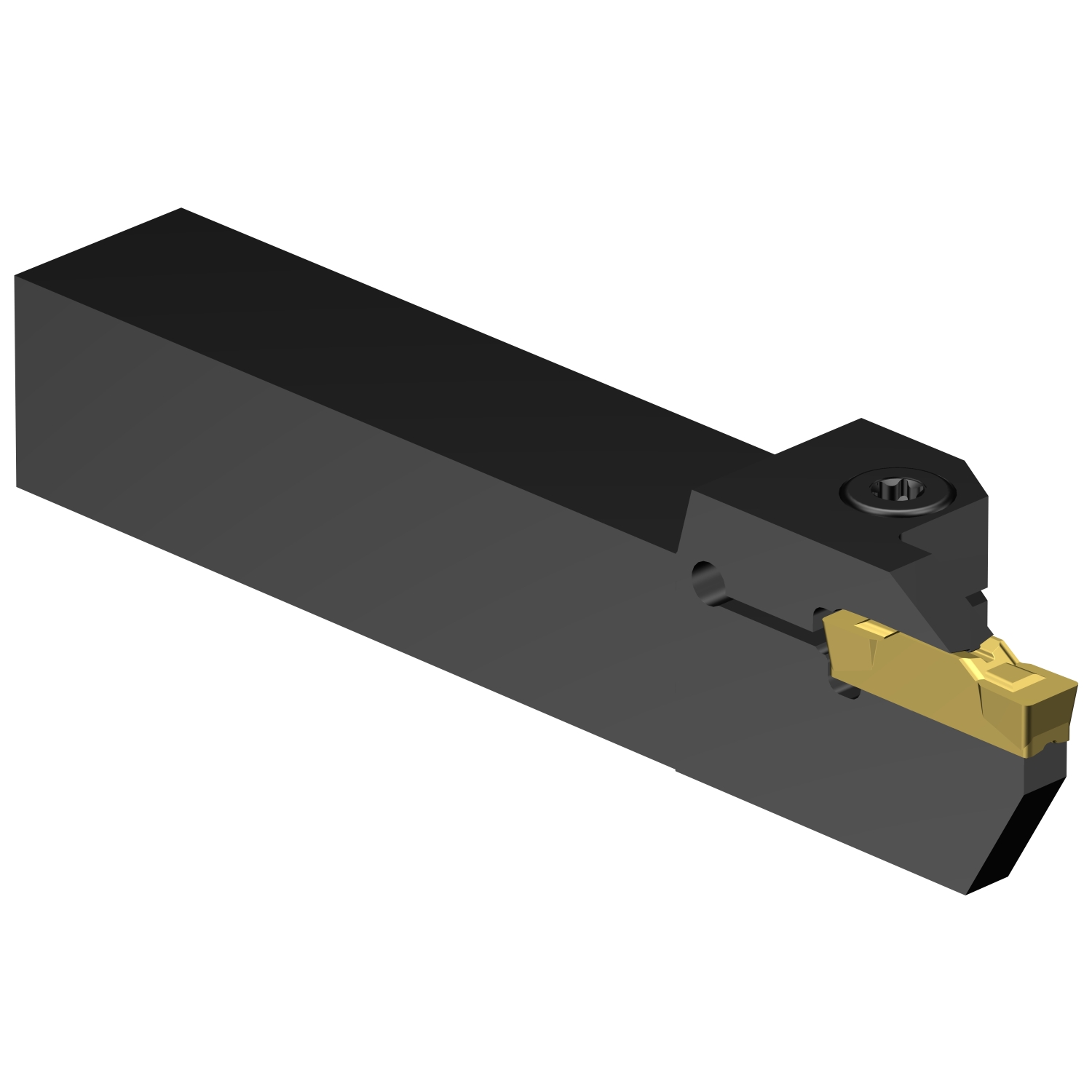 LF123L25-2525BM CoroCut® 1-2 shank tool for parting and grooving