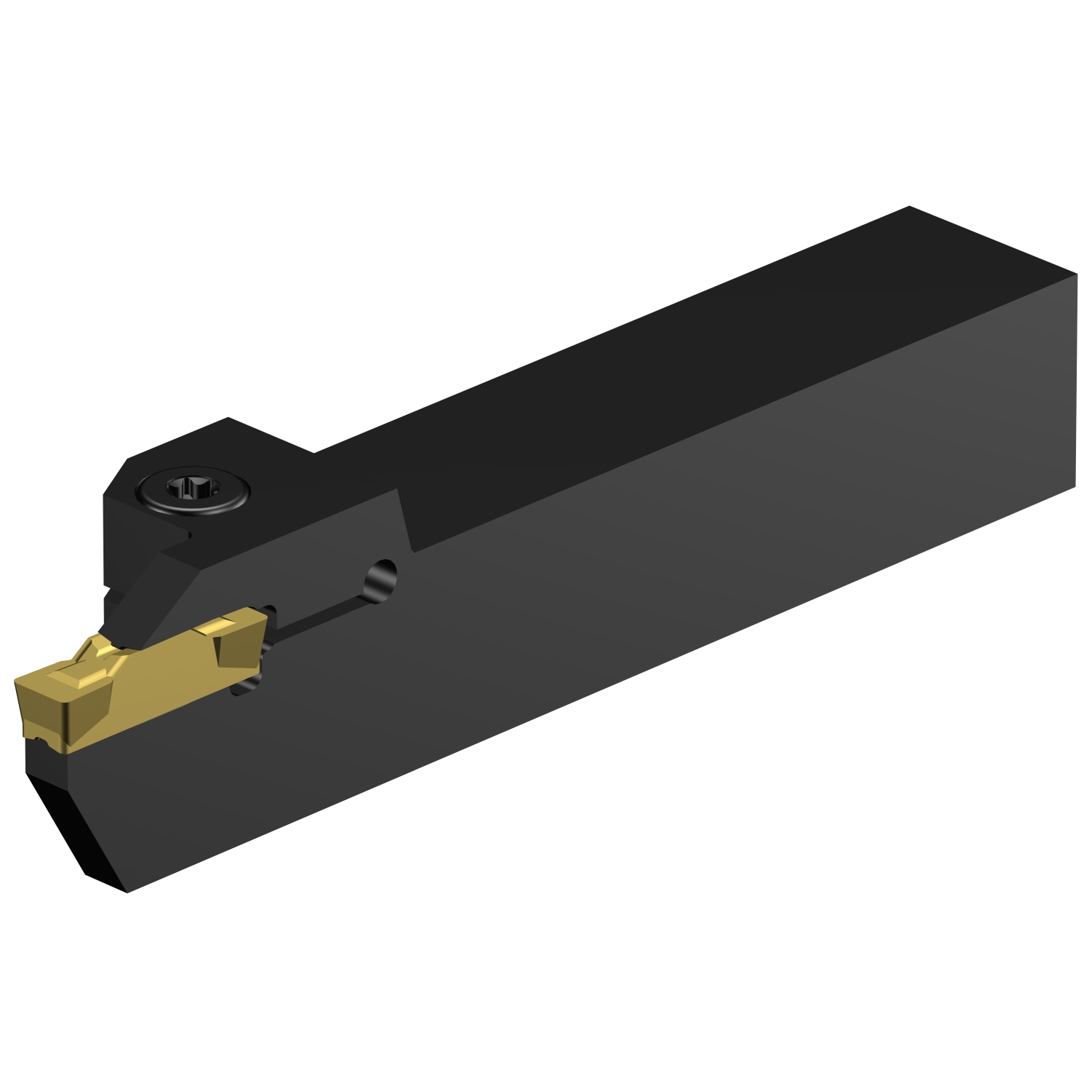RF123L100-16BM  CoroCut® 1-2 shank tool for parting and grooving