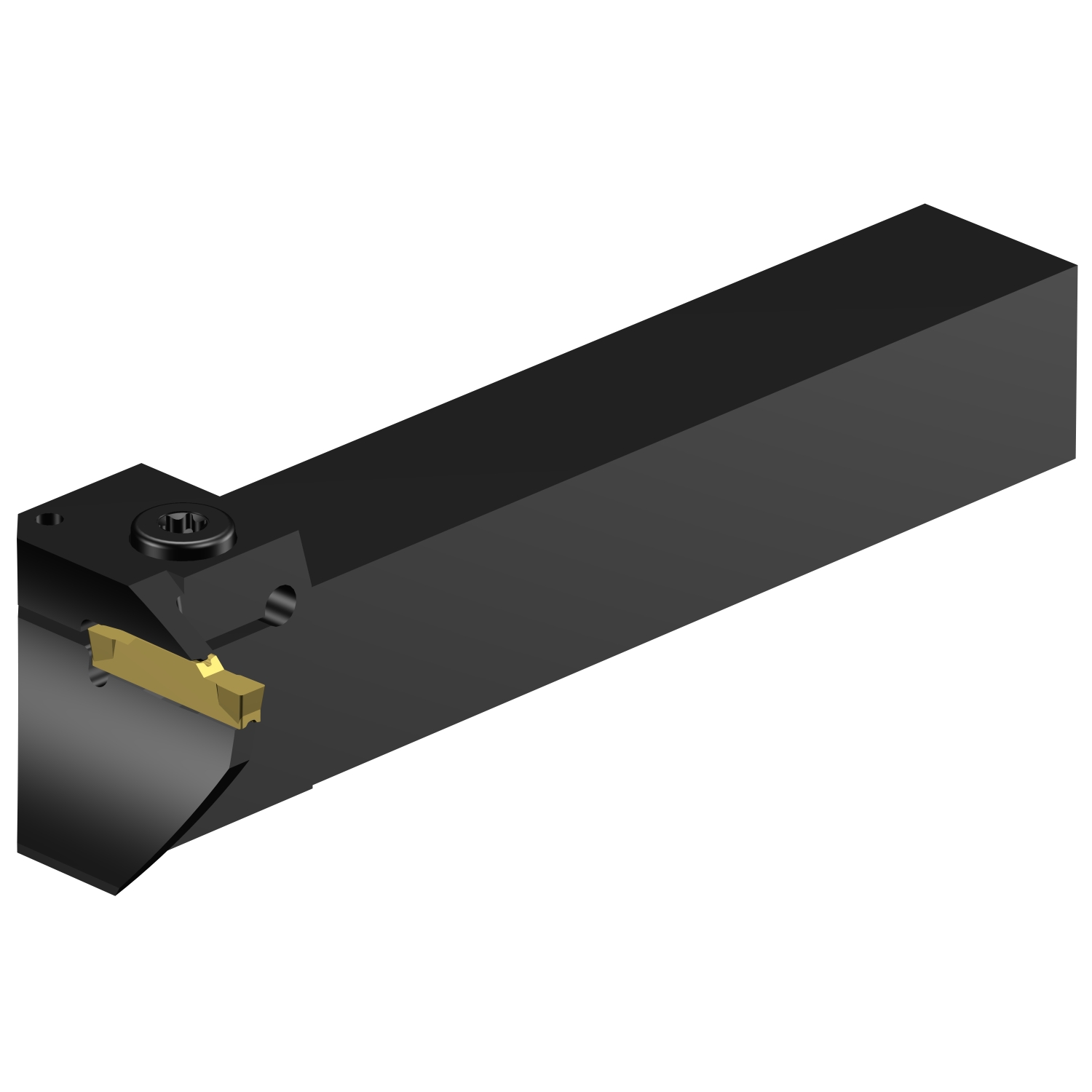 RG123H13-2525B-052BM  CoroCut® 1-2 shank tool for face grooving