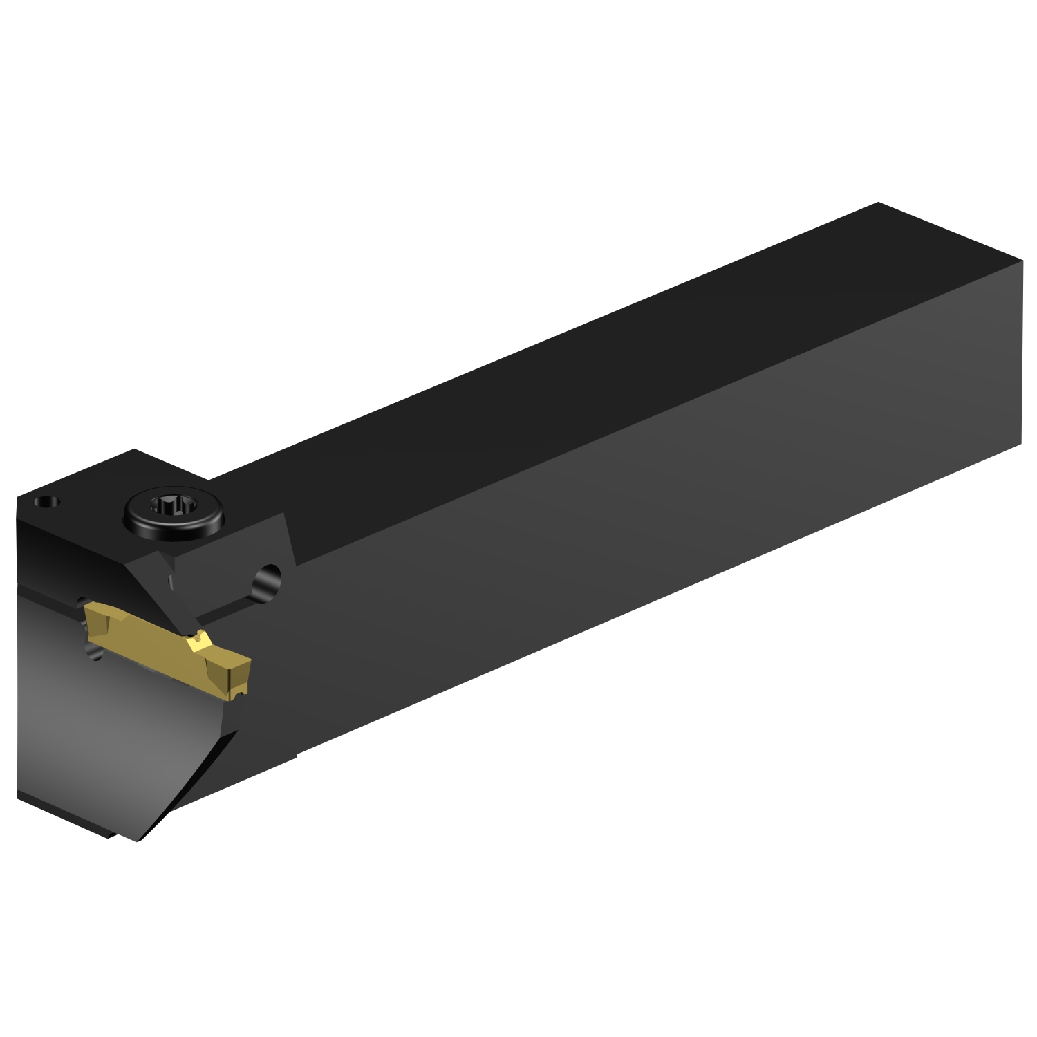 RG123H13-2525B-064BM  CoroCut® 1-2 shank tool for face grooving