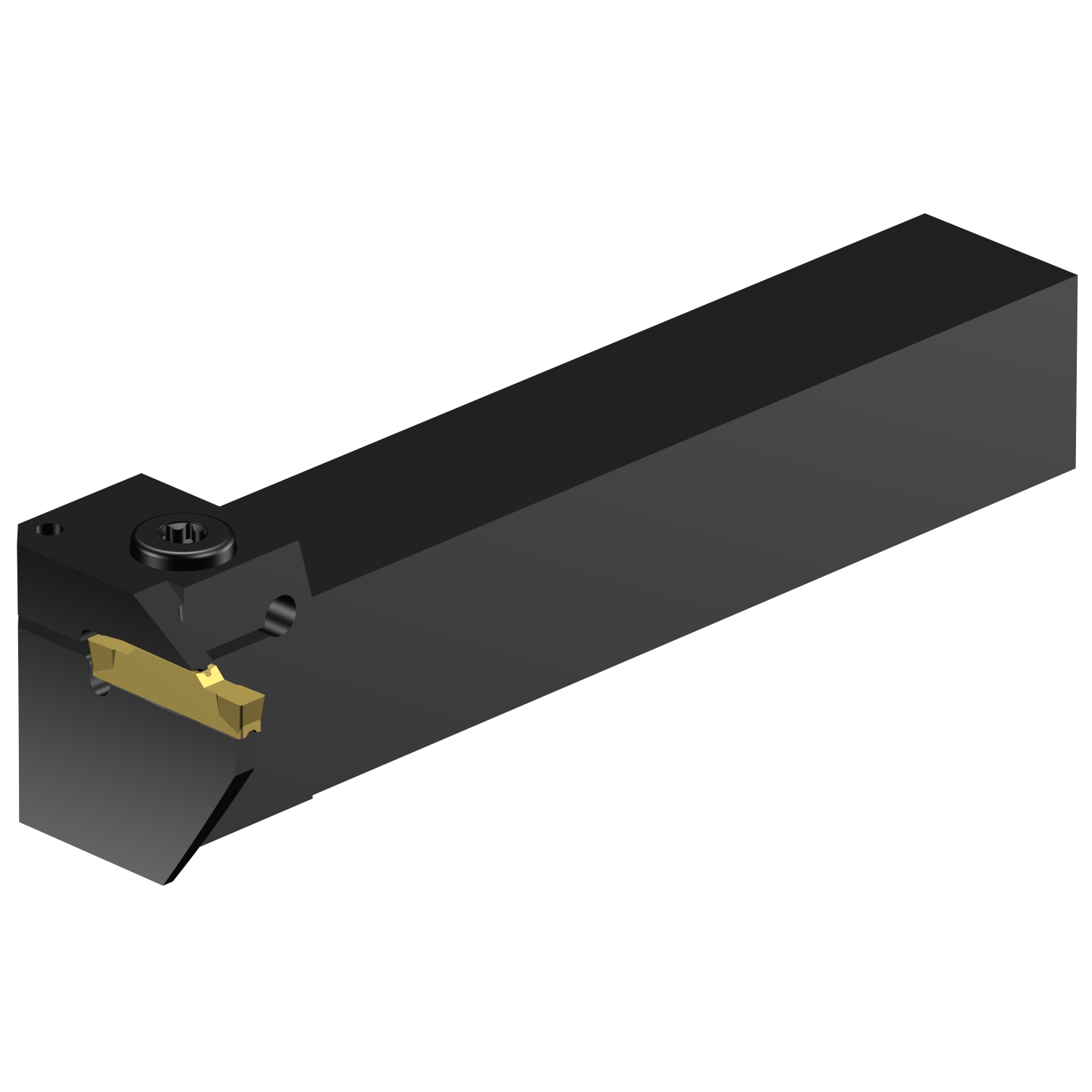 RG123H13-2525B-132BM  CoroCut® 1-2 shank tool for face grooving