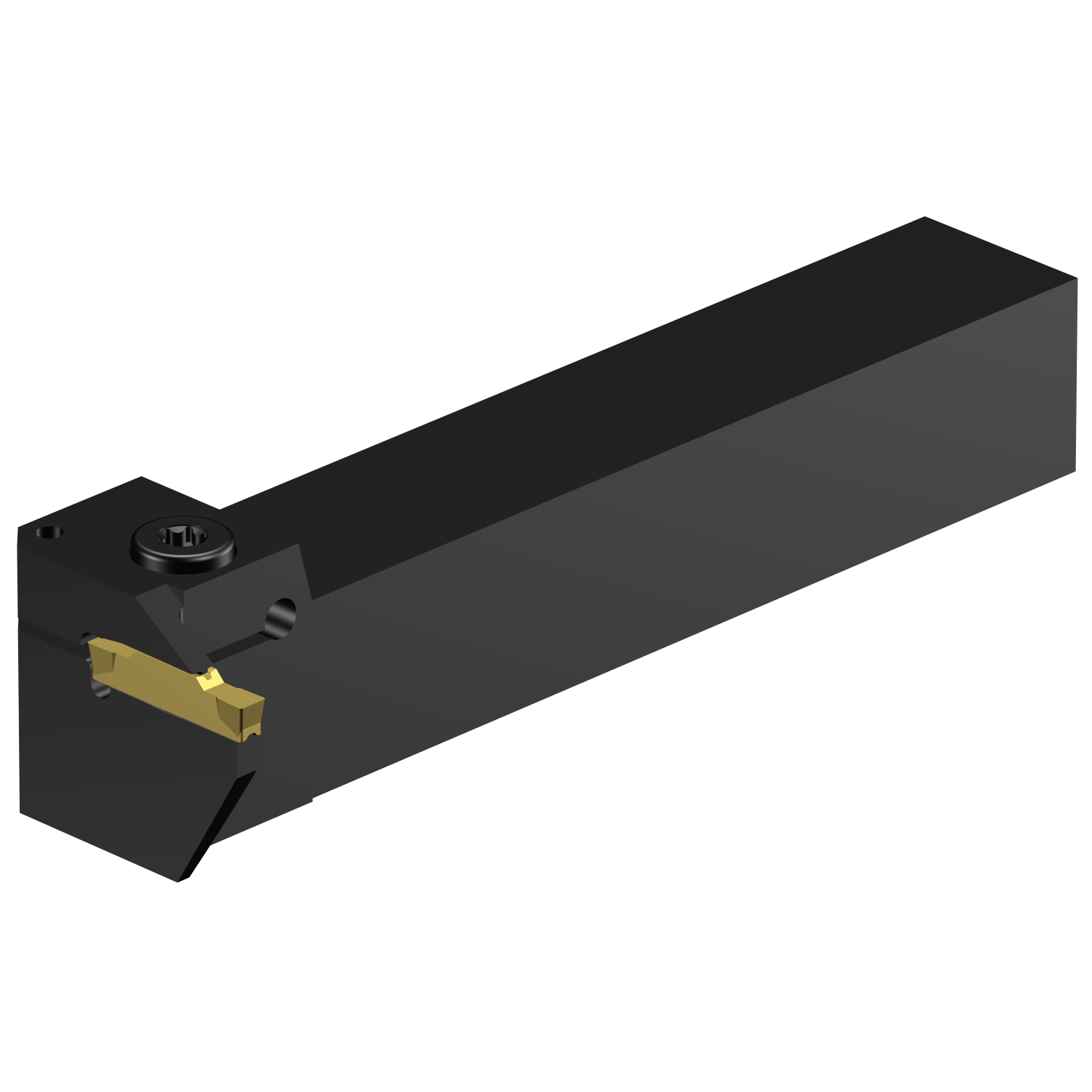 RG123H13-2525B-300BM  CoroCut® 1-2 shank tool for face grooving