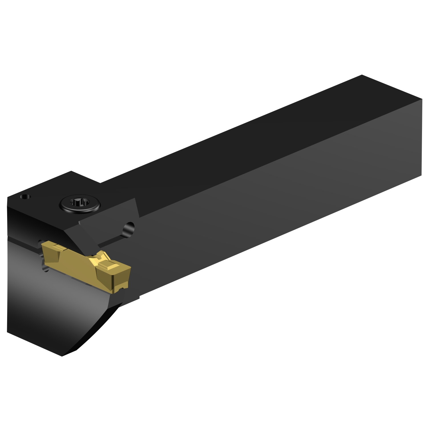 RG123L079-16B-050BM CoroCut® 1-2 shank tool for face grooving