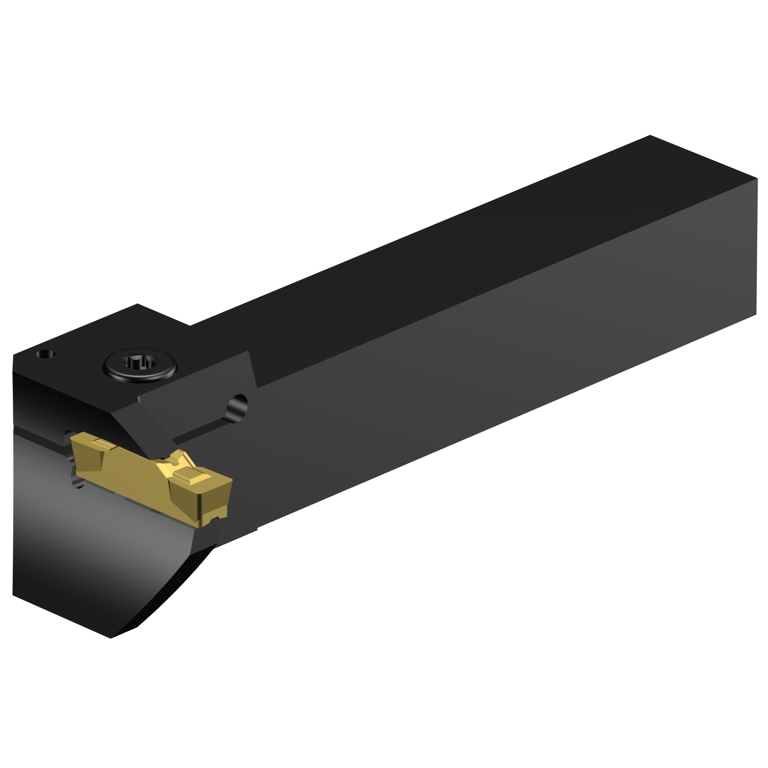 RG123L20-2525B-050BM CoroCut® 1-2 shank tool for face grooving