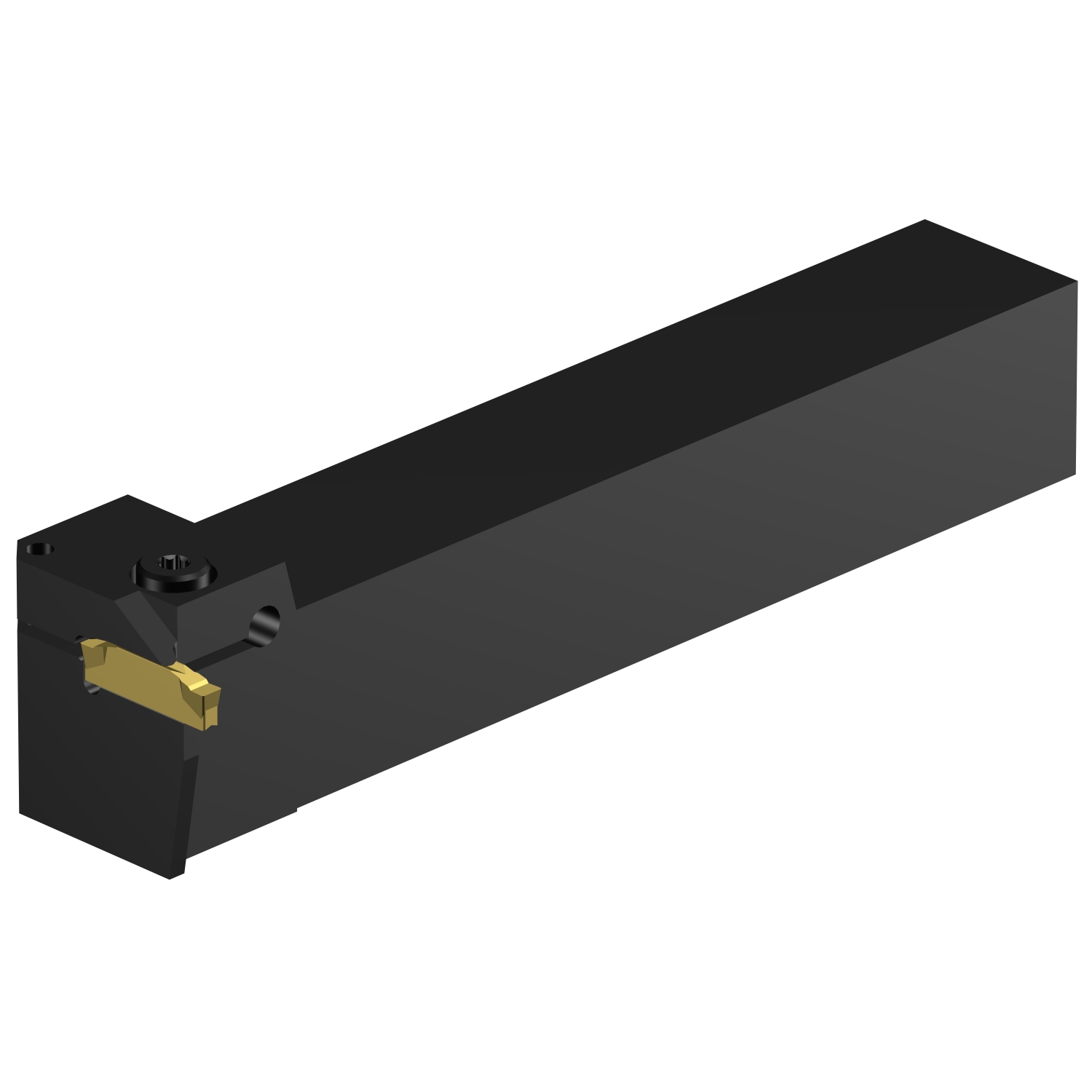 RG123G07-2525C  CoroCut® 1-2 shank tool for shallow grooving