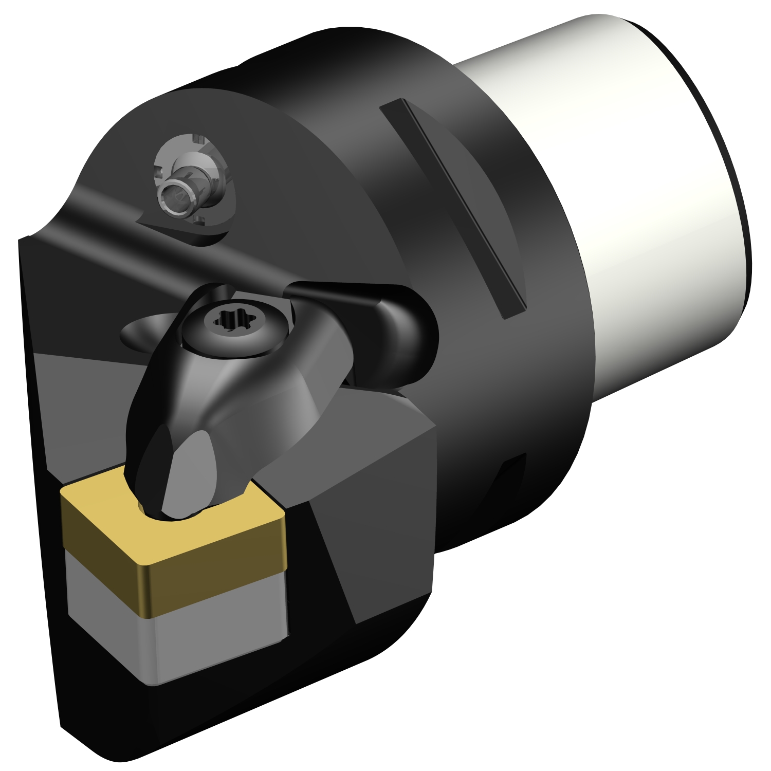 C4-DSRNR-22050-12  T-Max® P cutting unit for turning