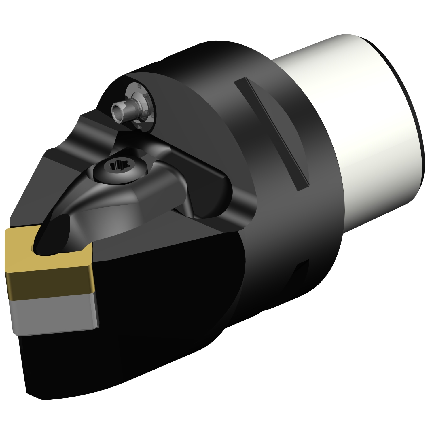 C4-DSDNN-00050-12  T-Max® P cutting unit for turning
