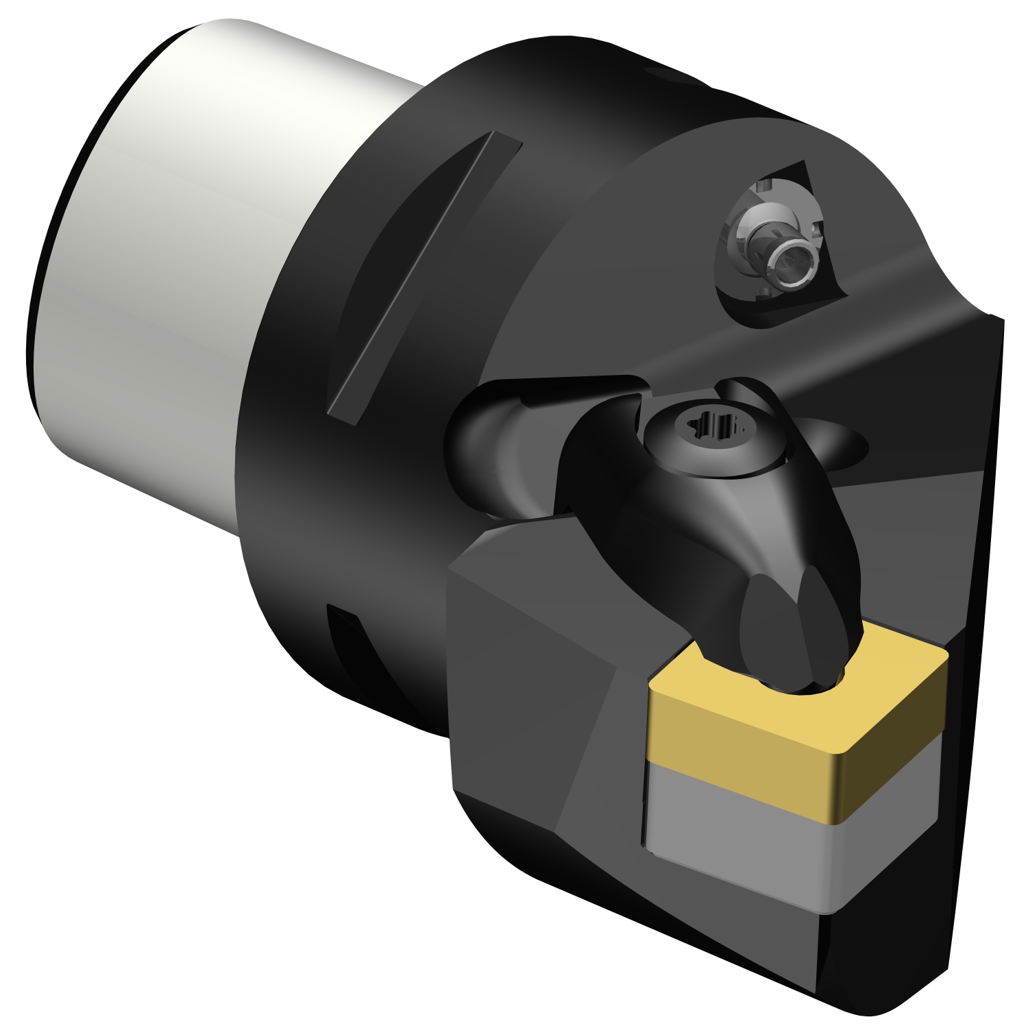 C4-DSRNL-22050-12  T-Max® P cutting unit for turning