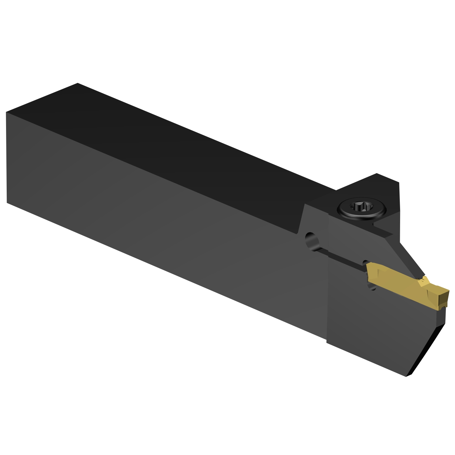 LF123H100-16B-300BM CoroCut® 1-2 shank tool for face grooving