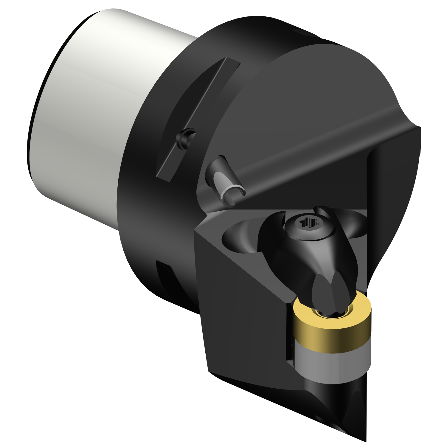C5-DRSNL-35060-12  T-Max® P cutting unit for turning
