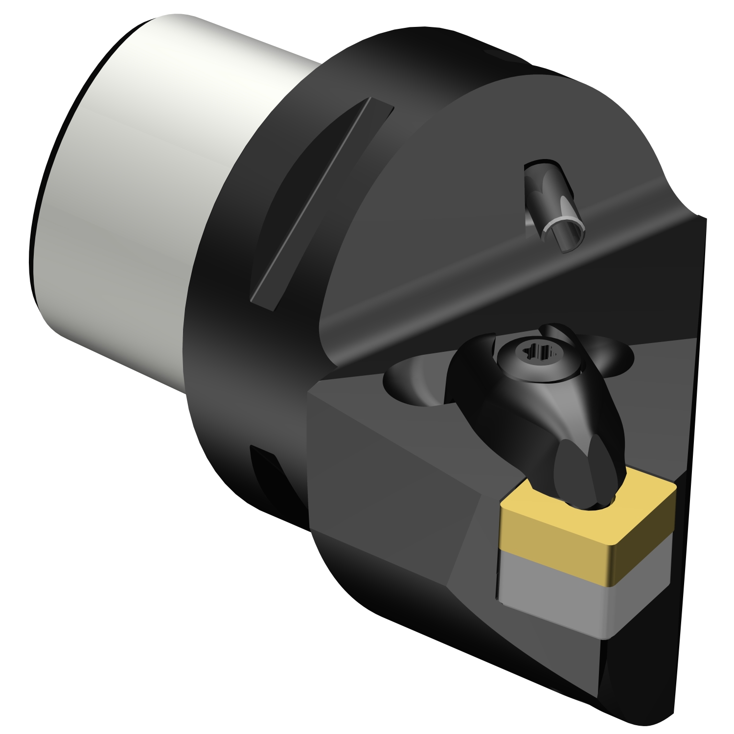 C5-DSRNL-27060-12  T-Max® P cutting unit for turning
