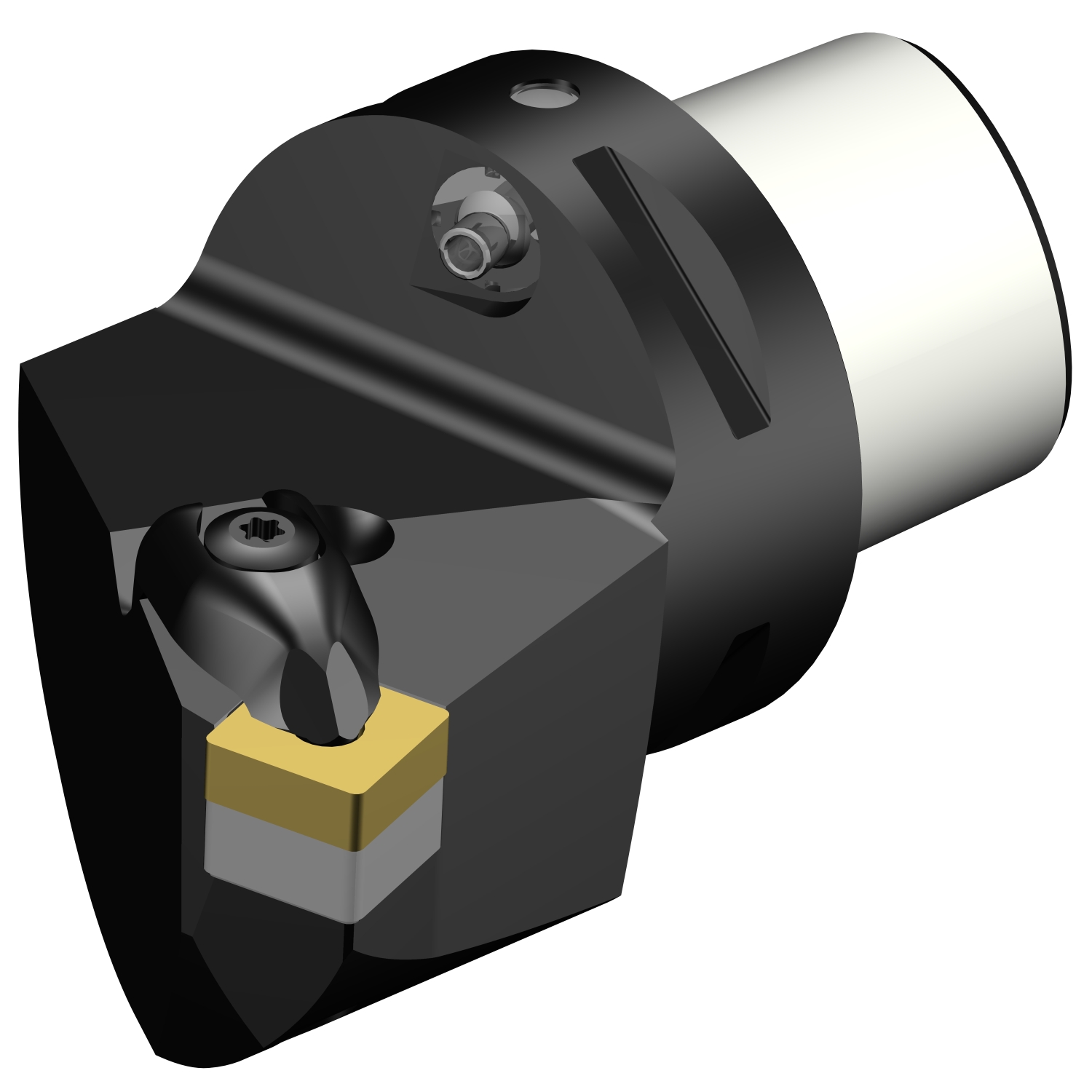 C5-DSKNR-35060-12  T-Max® P cutting unit for turning