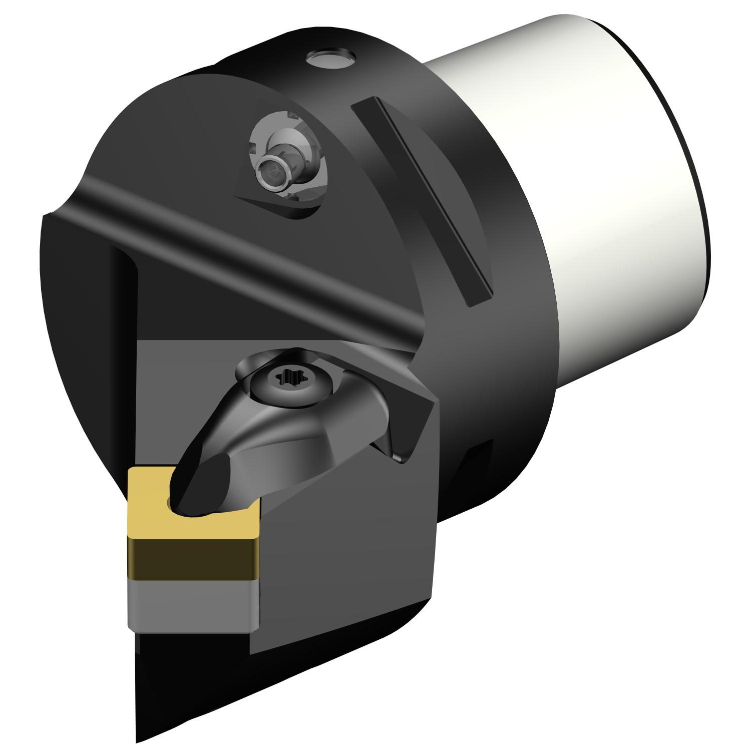 C5-DSSNR-35052-12  T-Max® P cutting unit for turning