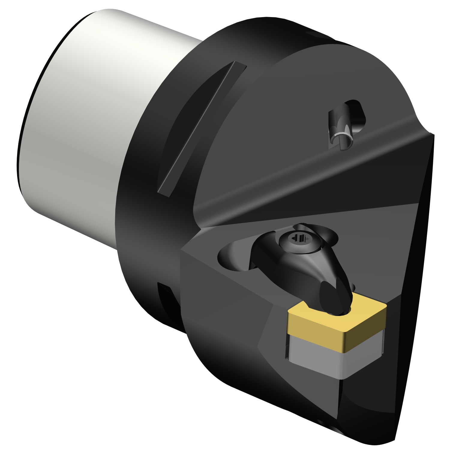 C6-DCRNL-35065-12  T-Max® P cutting unit for turning