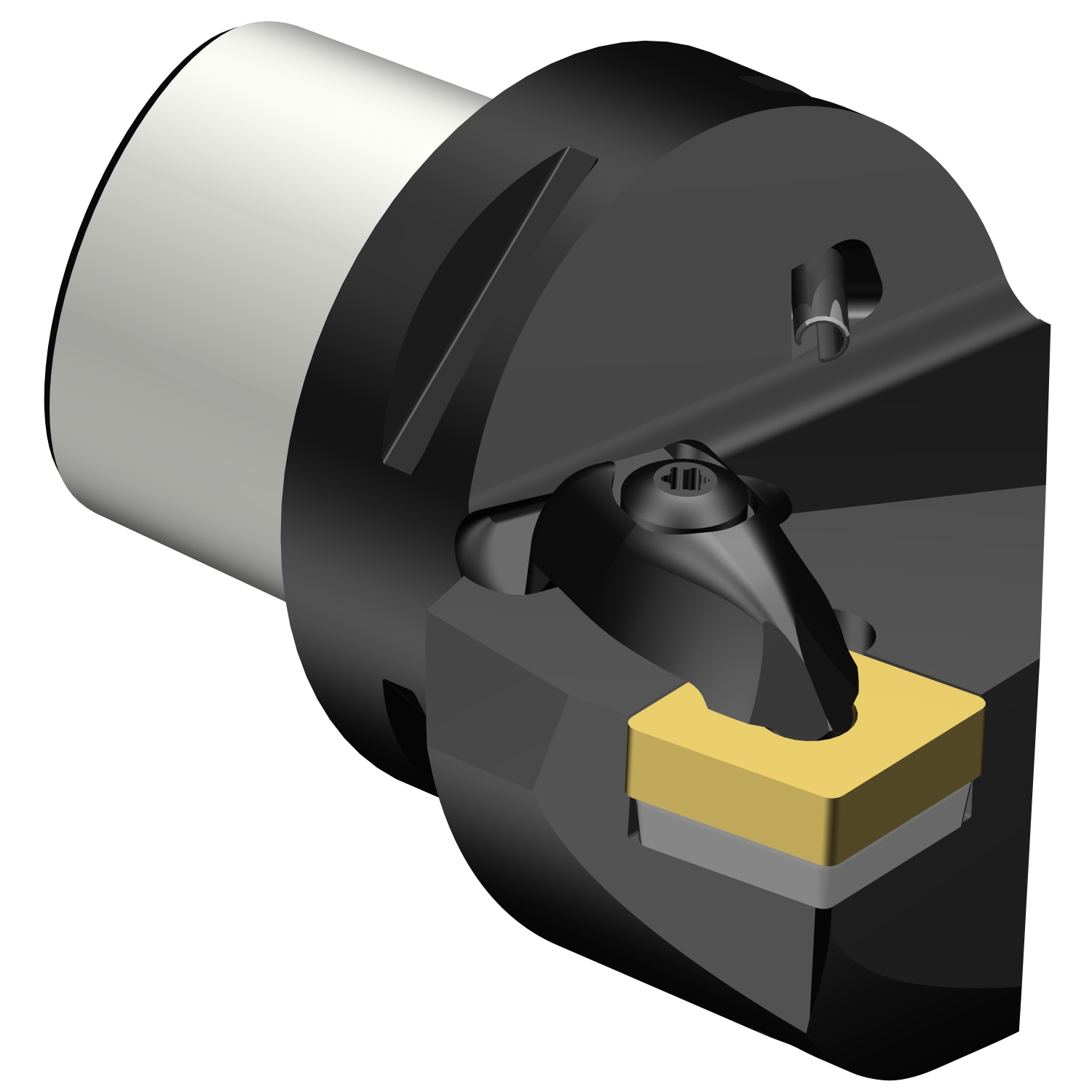 C6-DCRNL-35065-19  T-Max® P cutting unit for turning