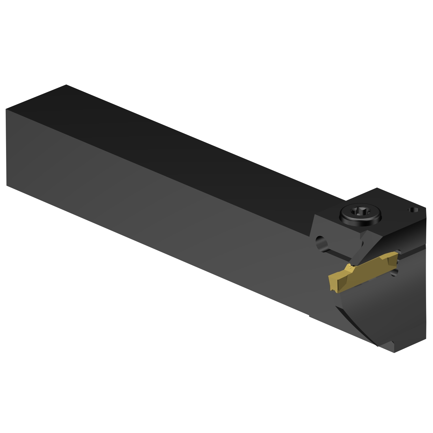 LG123H13-2525B-040BM  CoroCut® 1-2 shank tool for face grooving