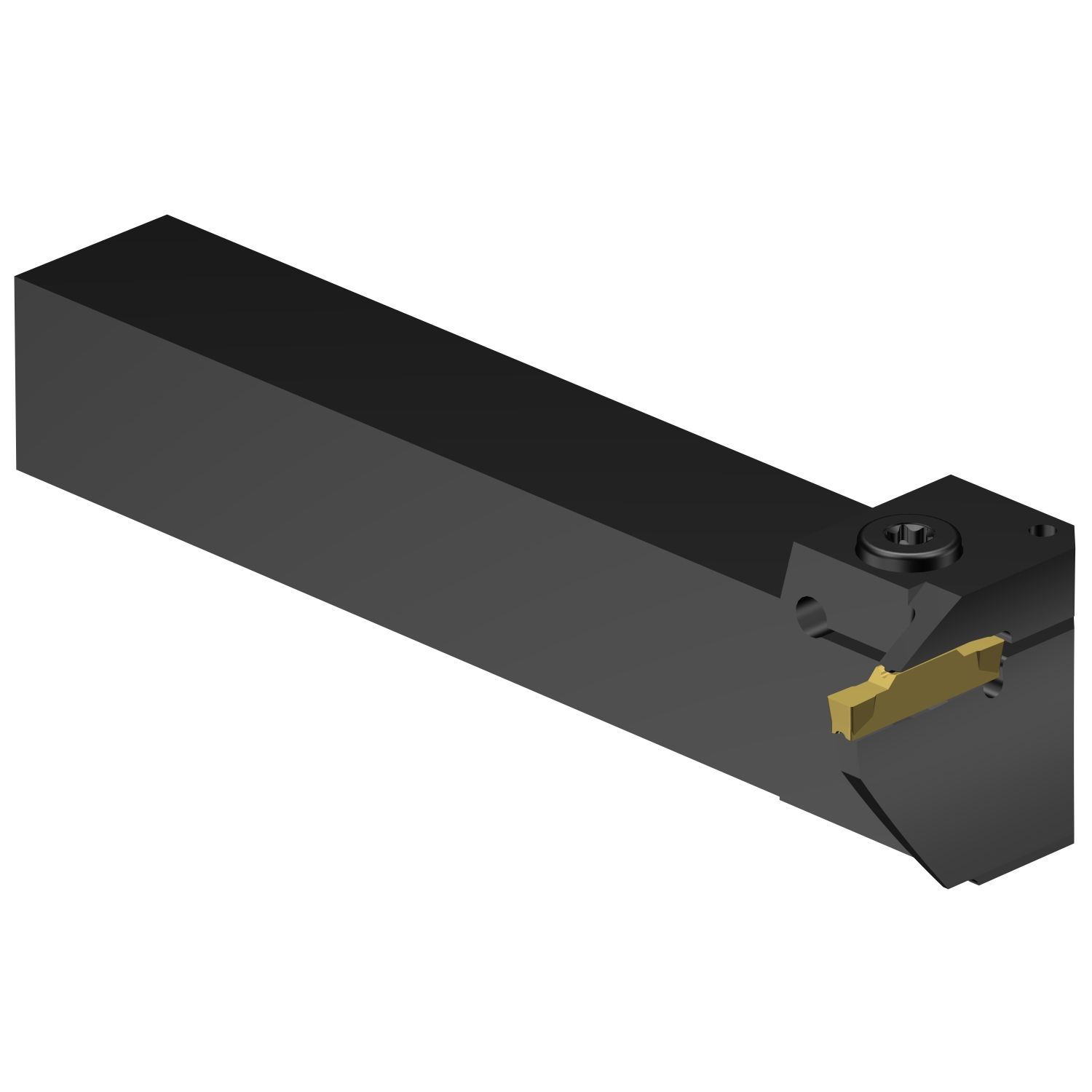 LG123H13-2525B-064BM  CoroCut® 1-2 shank tool for face grooving
