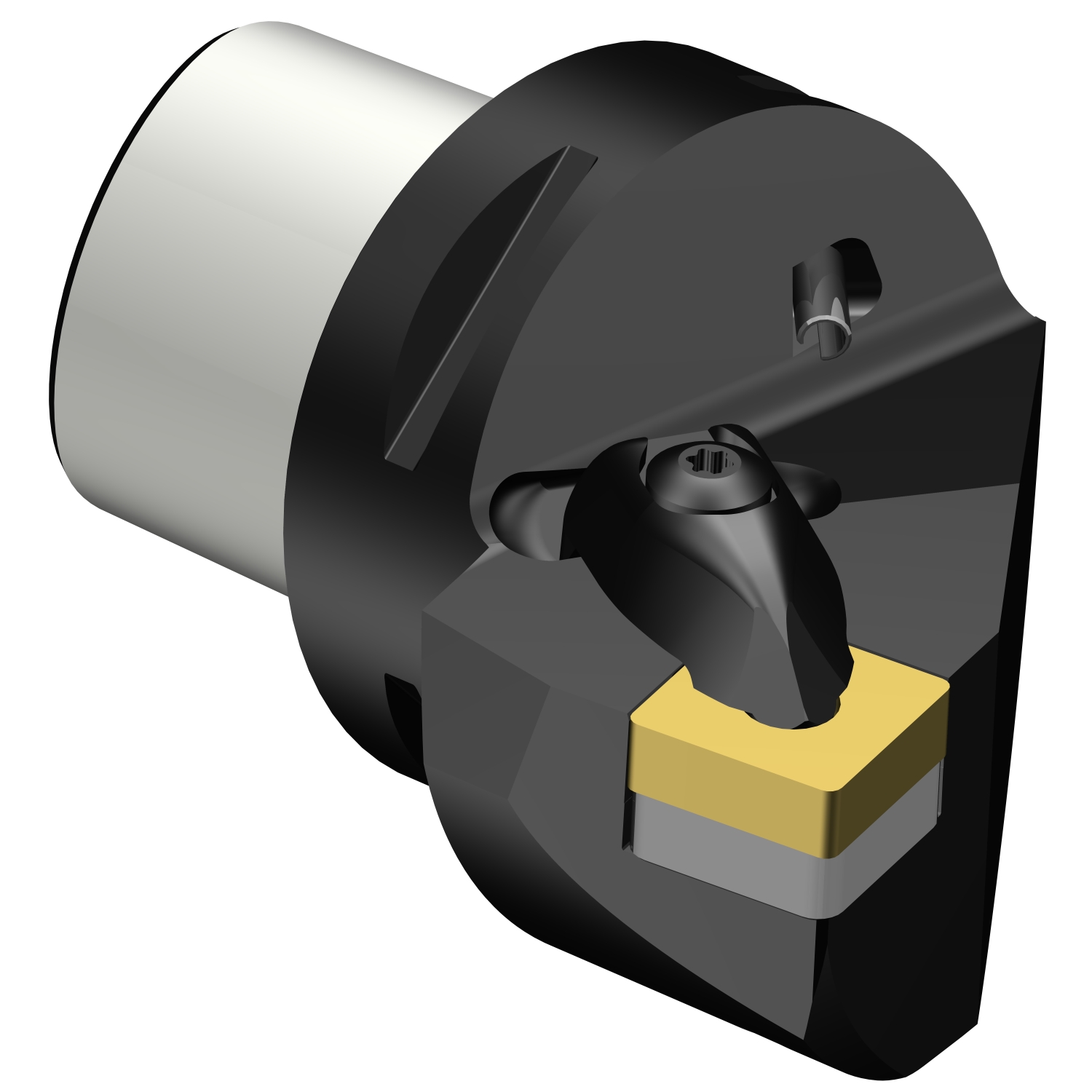 C6-DSRNL-35065-19  T-Max® P cutting unit for turning