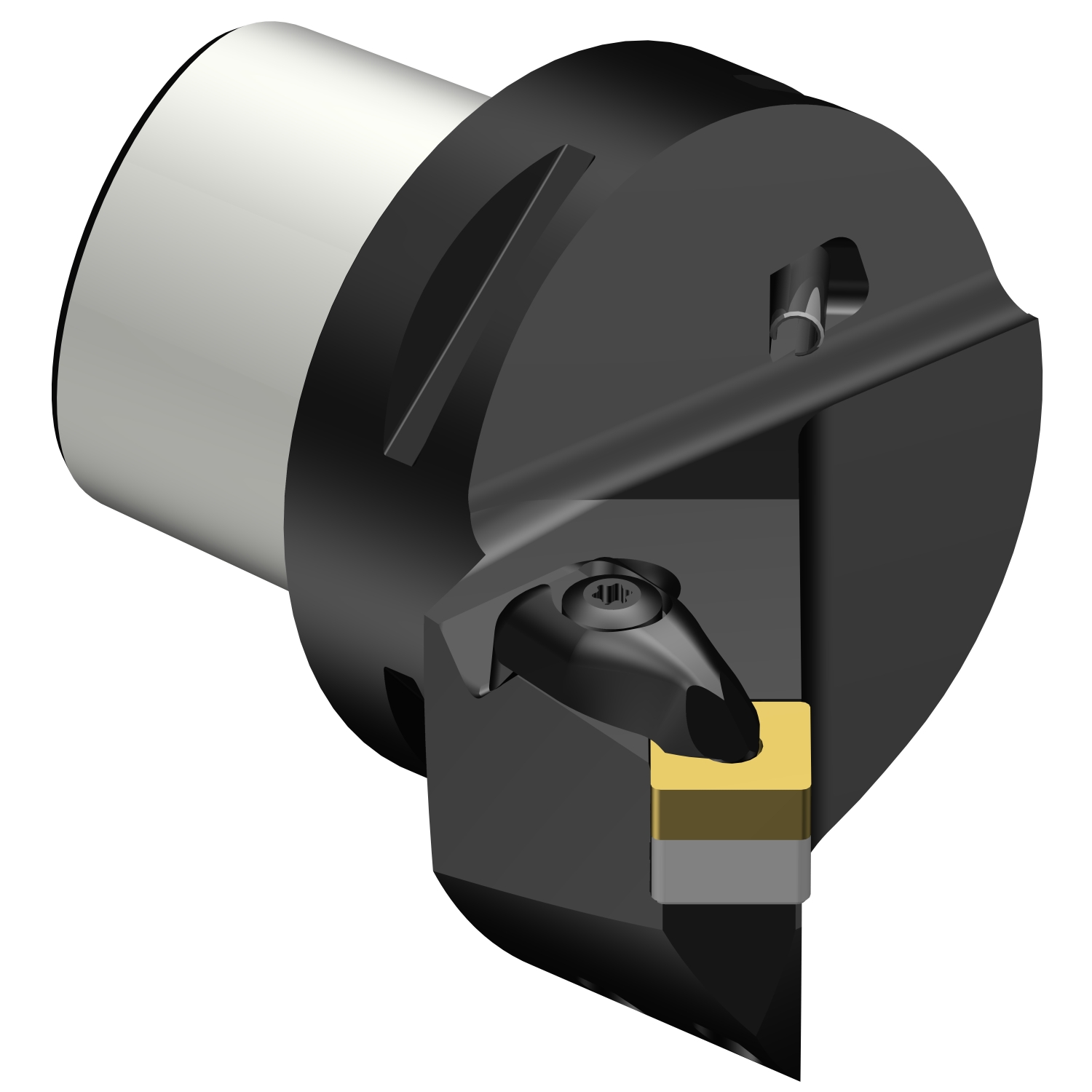 C6-DSSNL-45056-12  T-Max® P cutting unit for turning