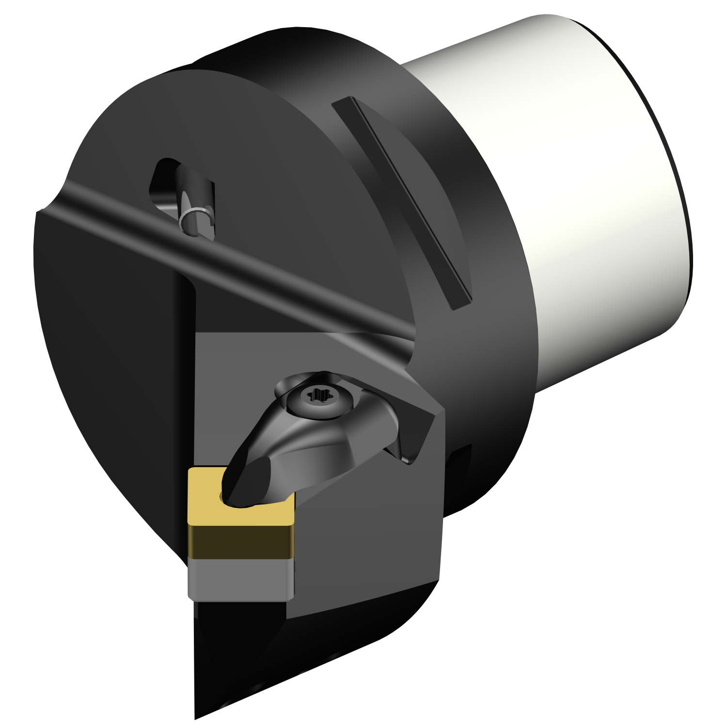 C6-DSSNR-45056-12  T-Max® P cutting unit for turning