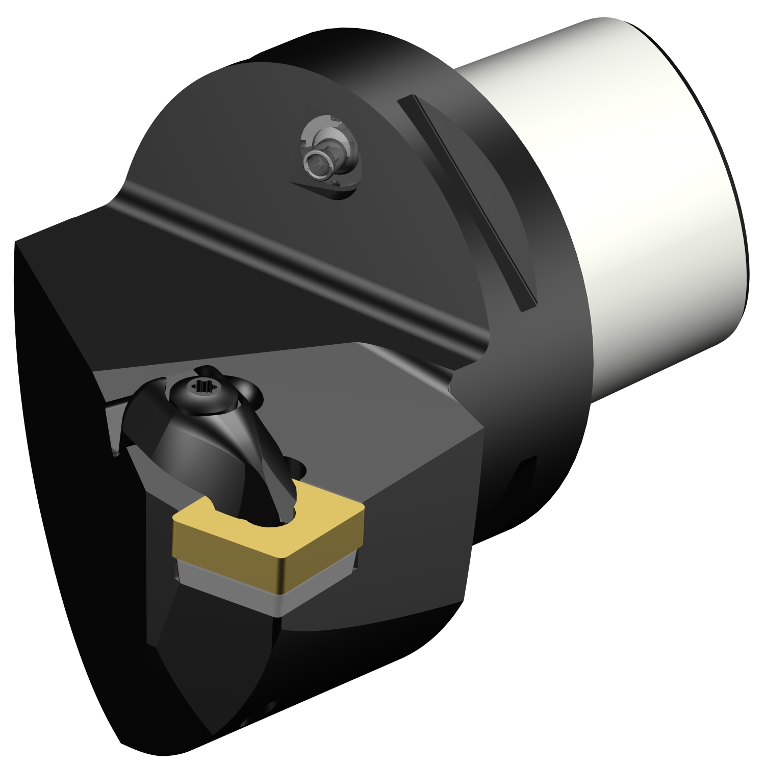 C8-DCKNR-55080-19  T-Max® P cutting unit for turning