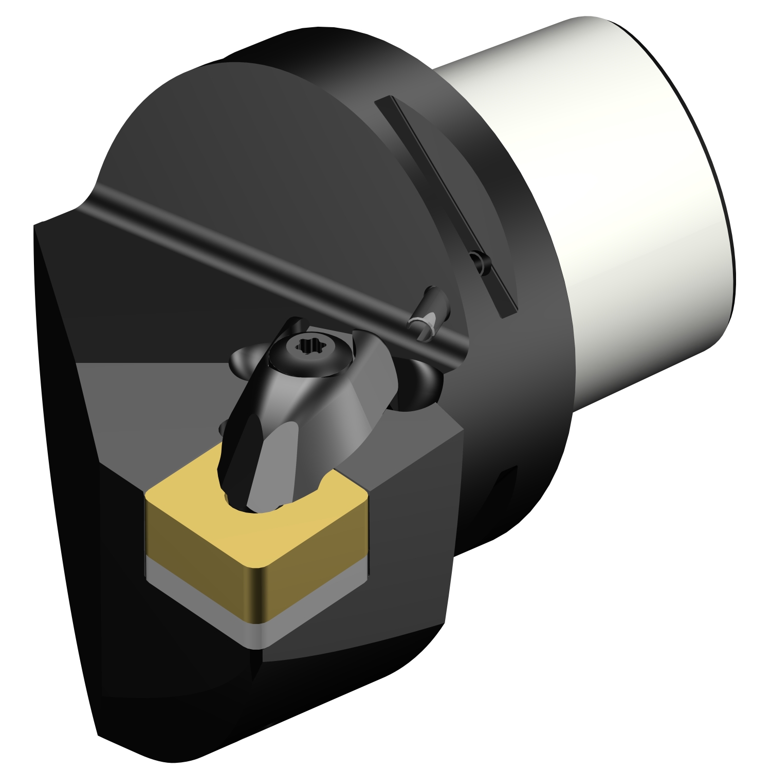 C8-DCLNR-55080-25  T-Max® P cutting unit for turning