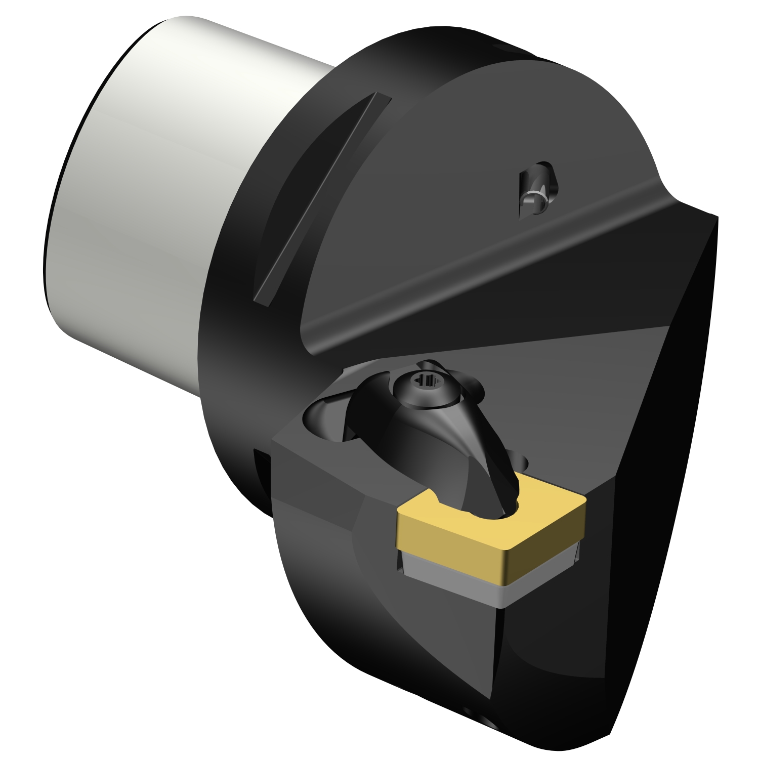 C8-DCRNL-55080-19  T-Max® P cutting unit for turning