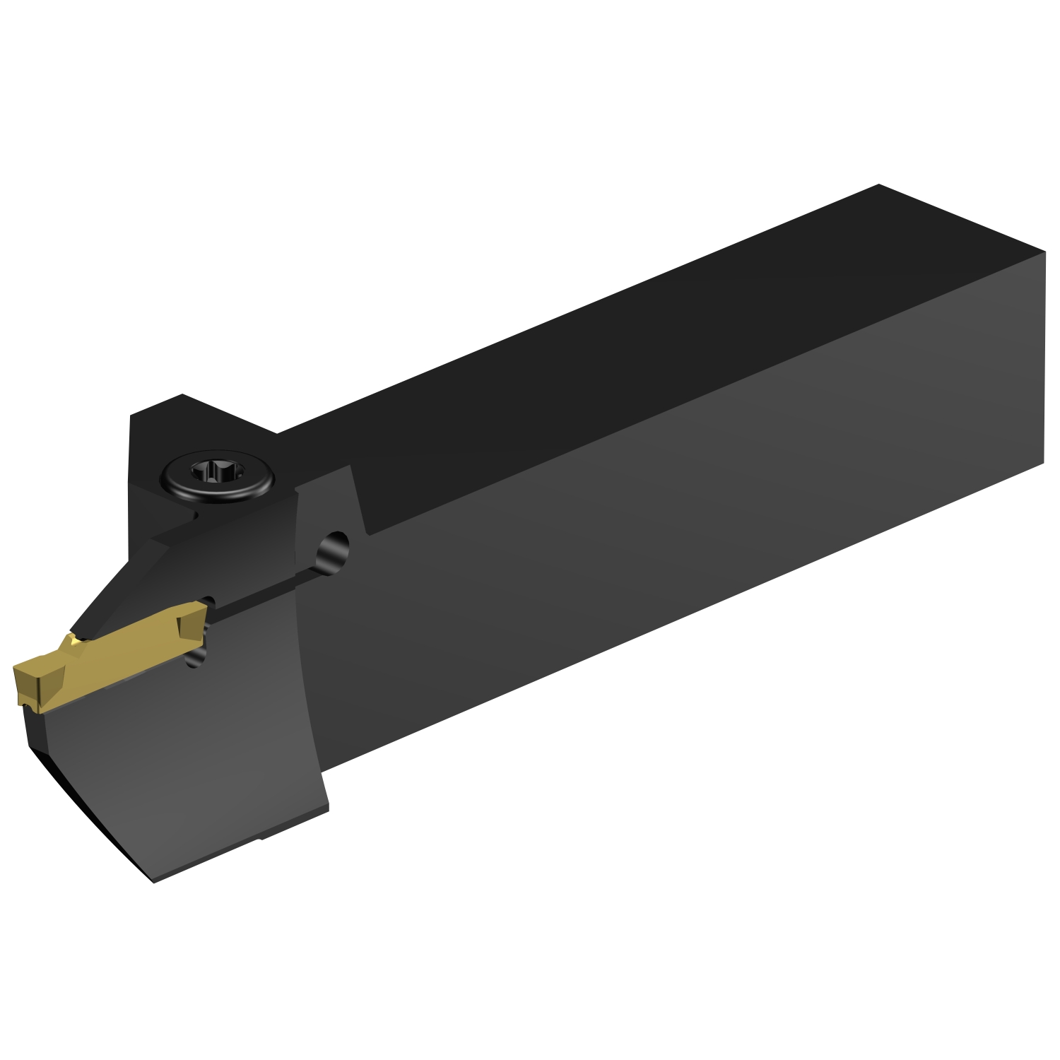 RF123H100-16B-064BM CoroCut® 1-2 shank tool for face grooving