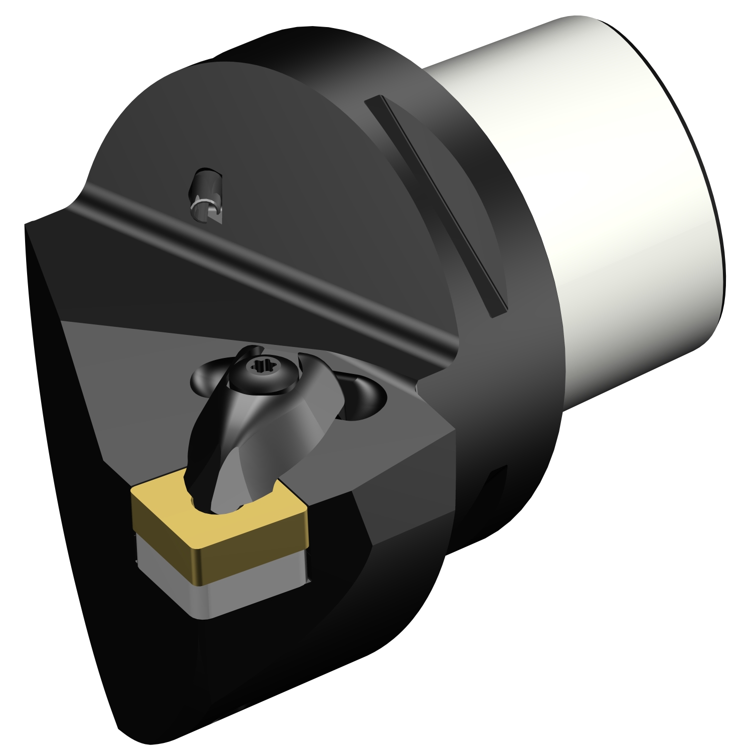 C8-DSRNR-45080-19  T-Max® P cutting unit for turning