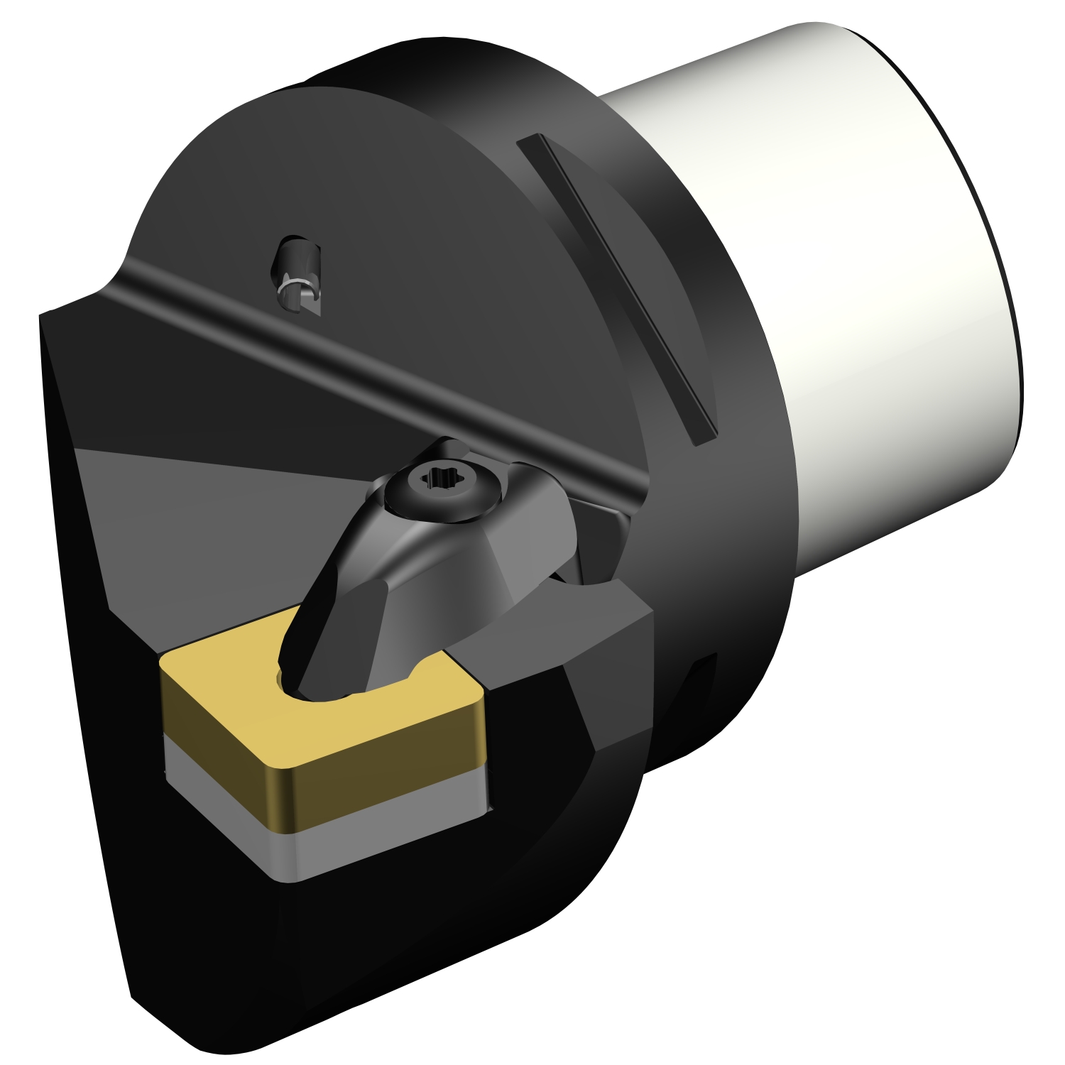 C8-DSRNR-45080-25  T-Max® P cutting unit for turning