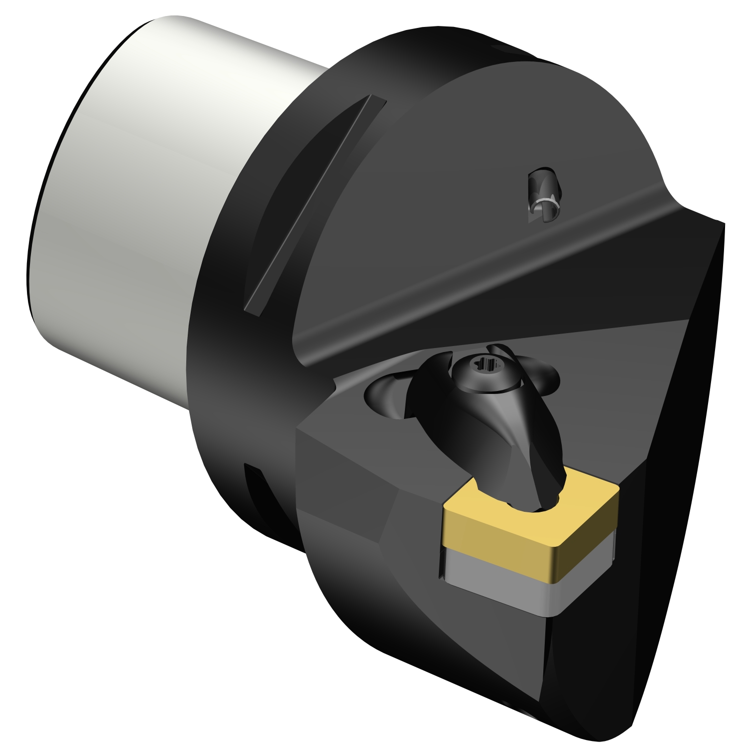 C8-DSRNL-45080-19  T-Max® P cutting unit for turning