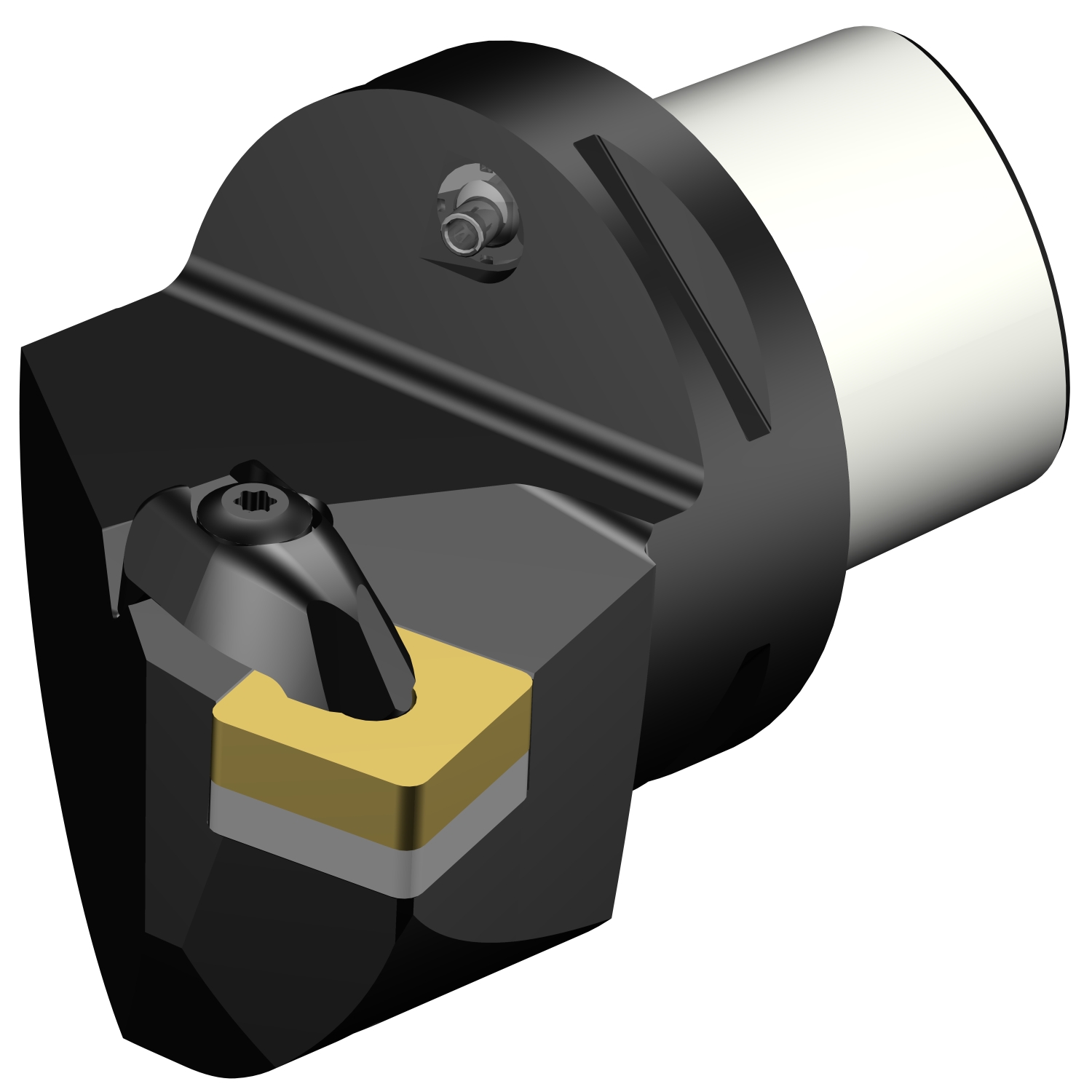 C8-DSKNR-55080-25  T-Max® P cutting unit for turning