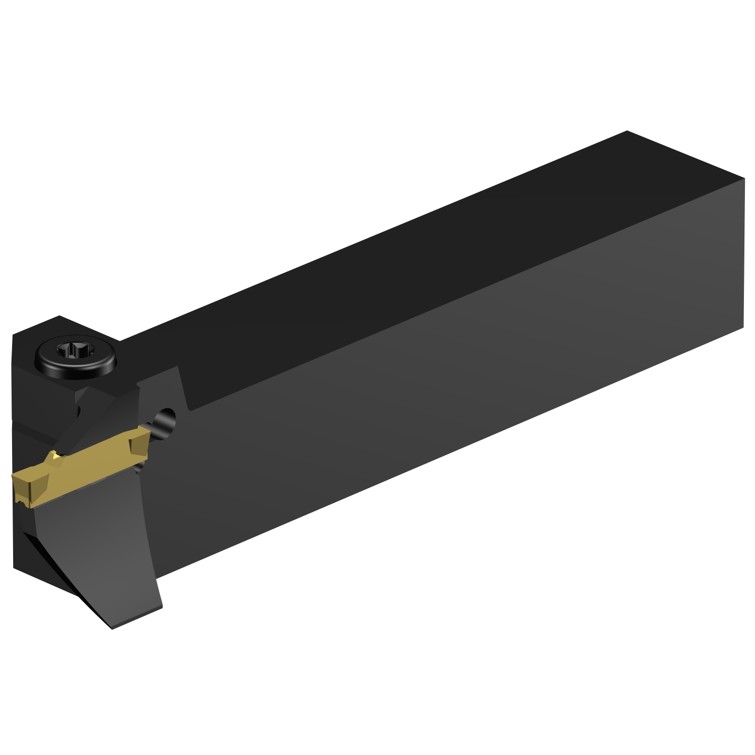 RF123H13-2525B-064BM  CoroCut® 1-2 shank tool for face grooving