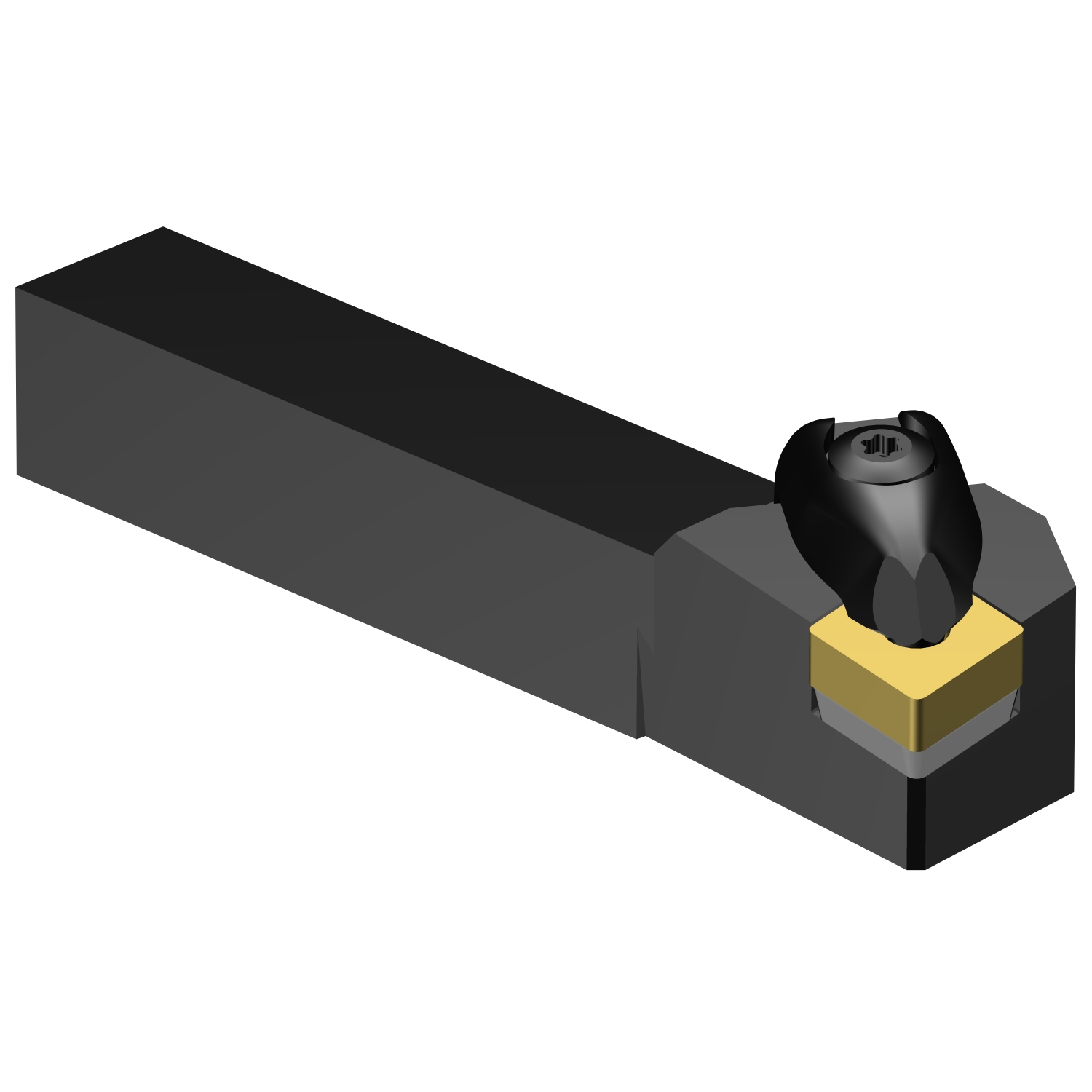 DCLNL 1616H 12  T-Max® P shank tool for turning