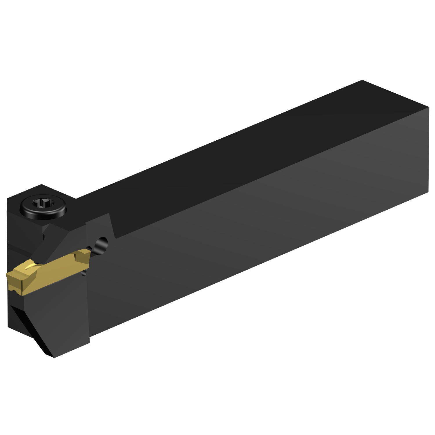 RF123K13-2525B-168BM  CoroCut® 1-2 shank tool for face grooving