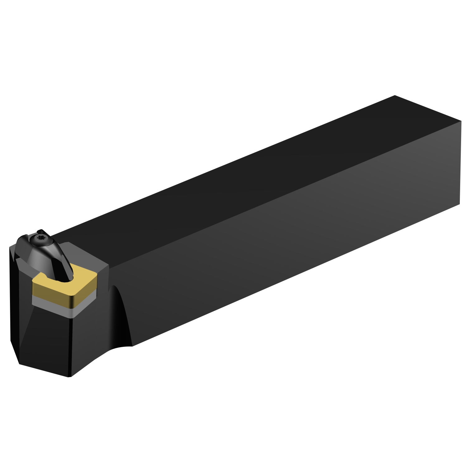 DSKNR 5050T 25  T-Max® P shank tool for turning