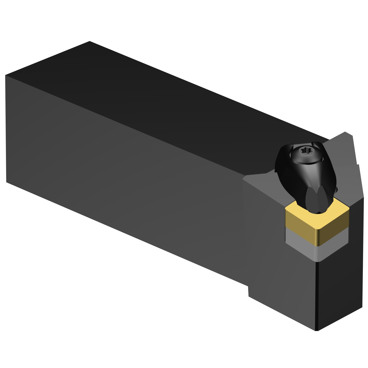 DCLNL 24 5D  T-Max® P shank tool for turning