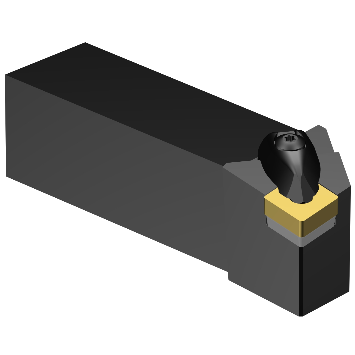 DCLNL 24 6D  T-Max® P shank tool for turning