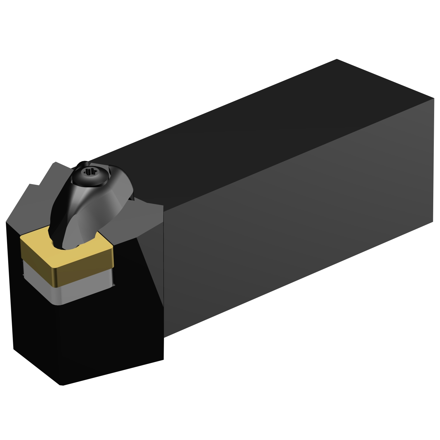 DSRNR 24 6D  T-Max® P shank tool for turning