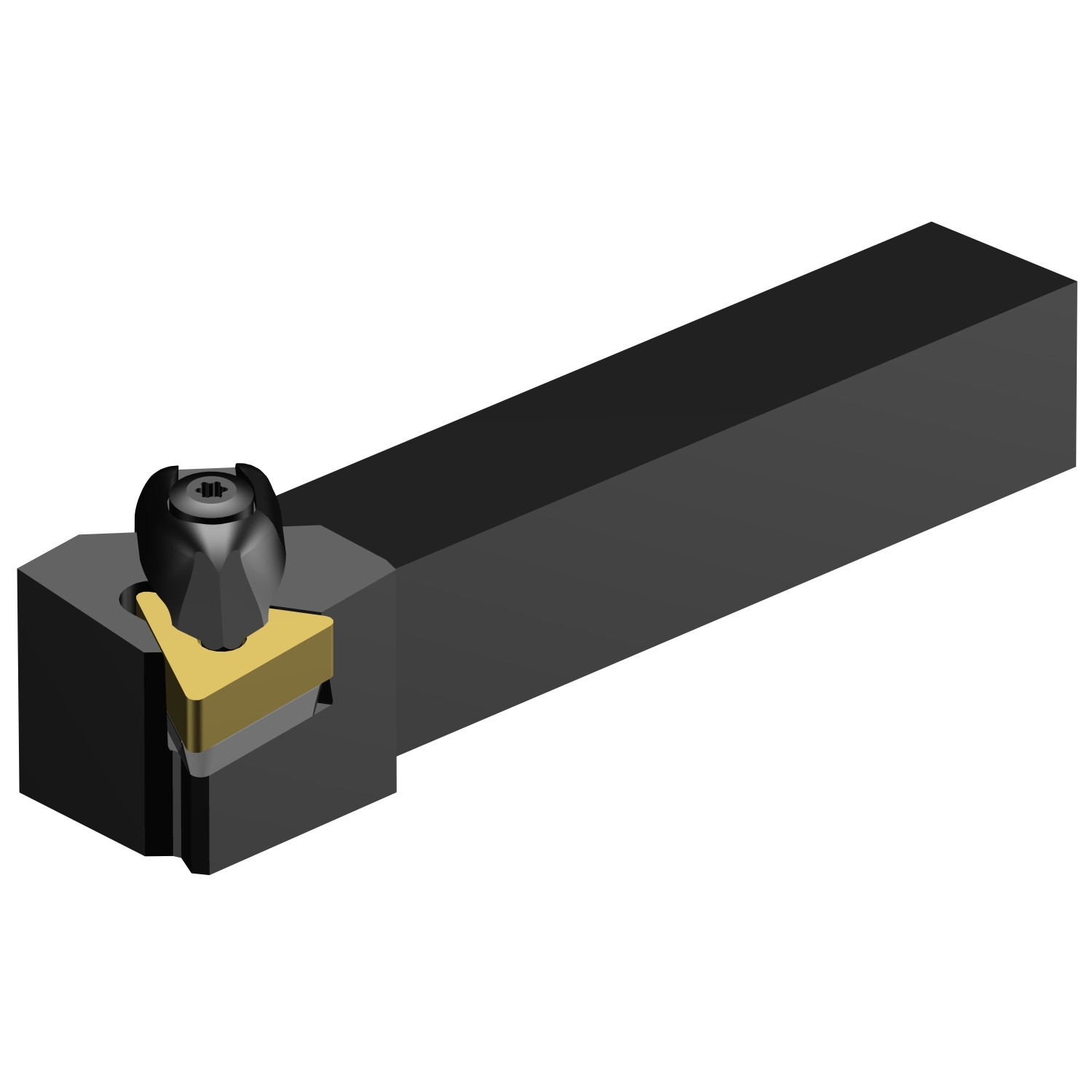 DTGNR 10 3A  T-Max® P shank tool for turning