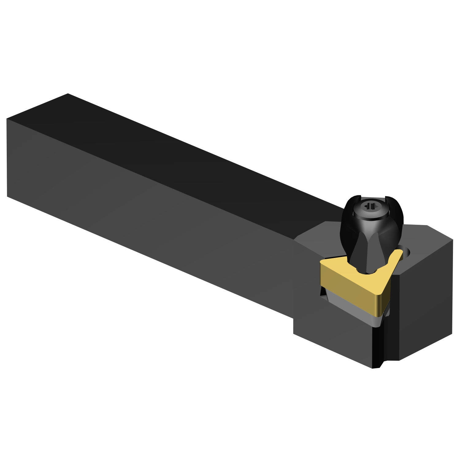 DTGNL 10 3A  T-Max® P shank tool for turning