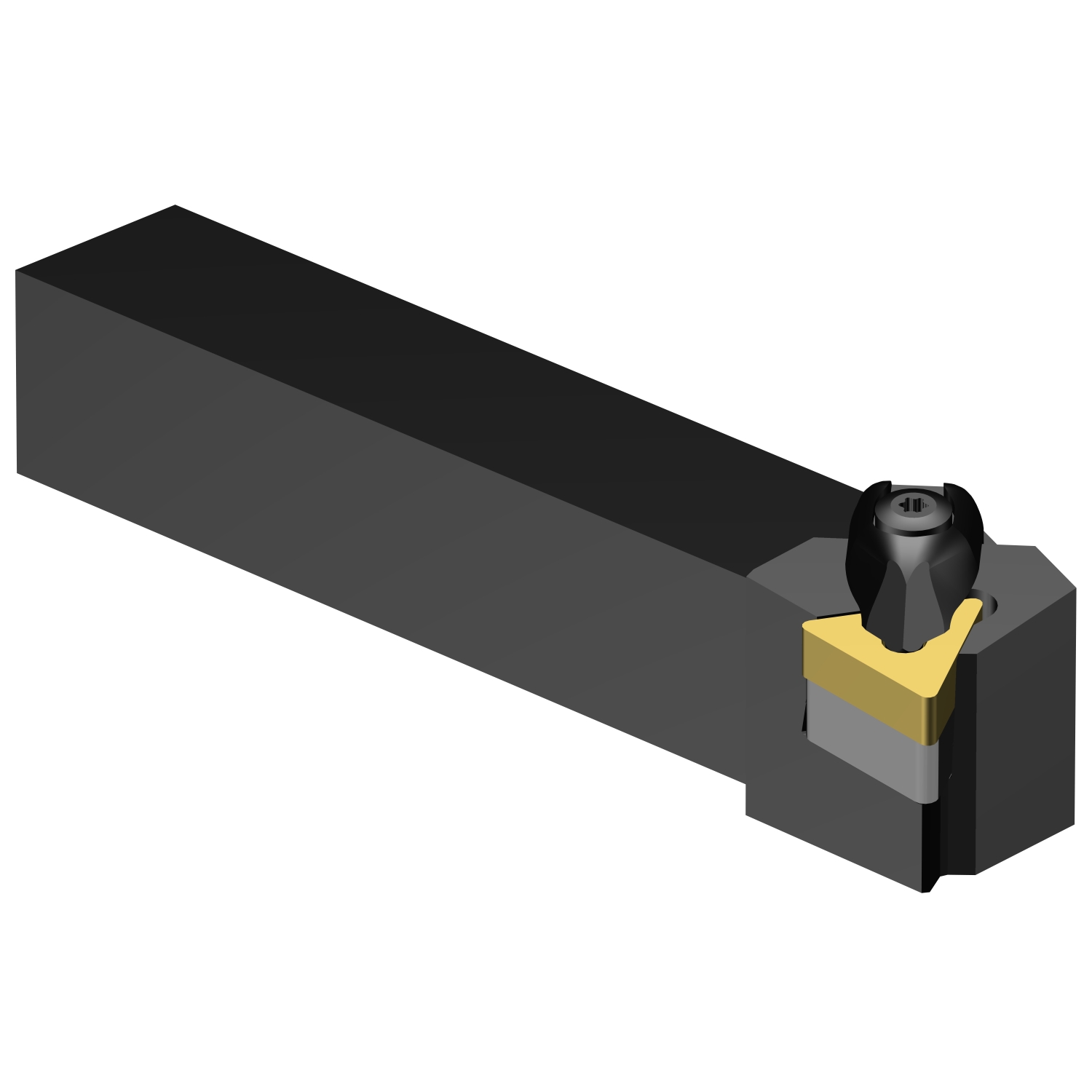 DTGNL 12 3B  T-Max® P shank tool for turning