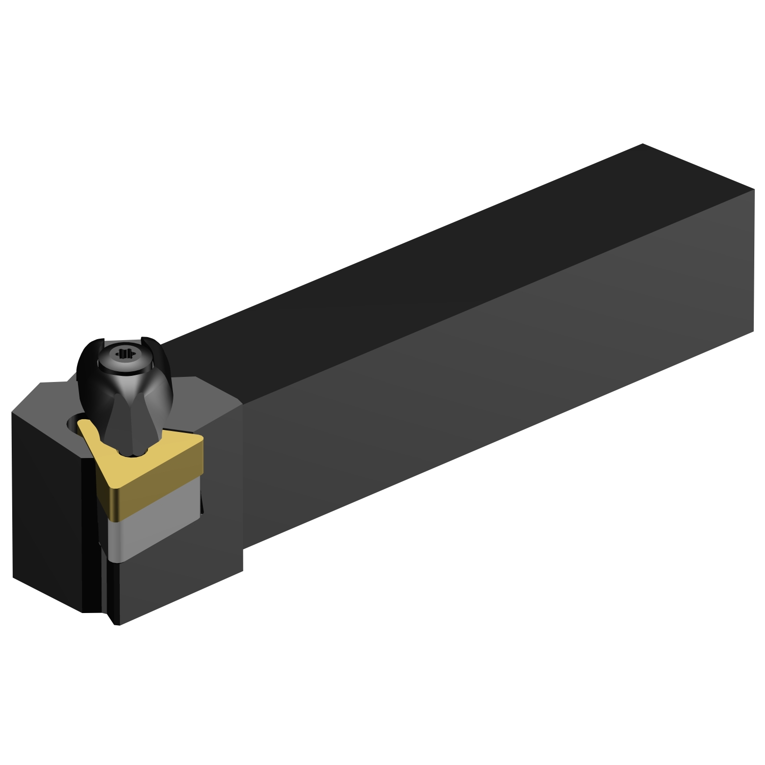 DTGNR 12 3B  T-Max® P shank tool for turning