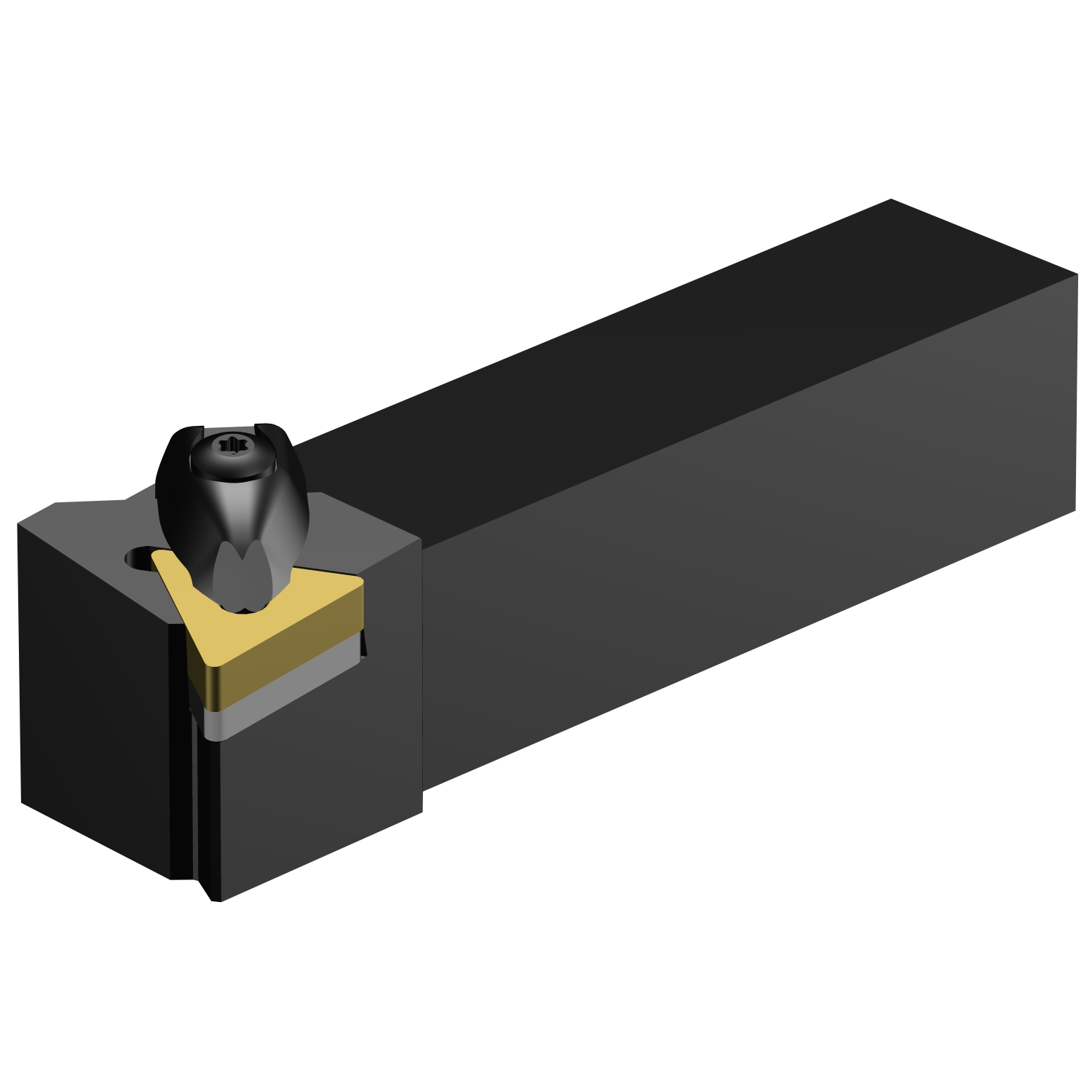 DTGNR 20 5D  T-Max® P shank tool for turning