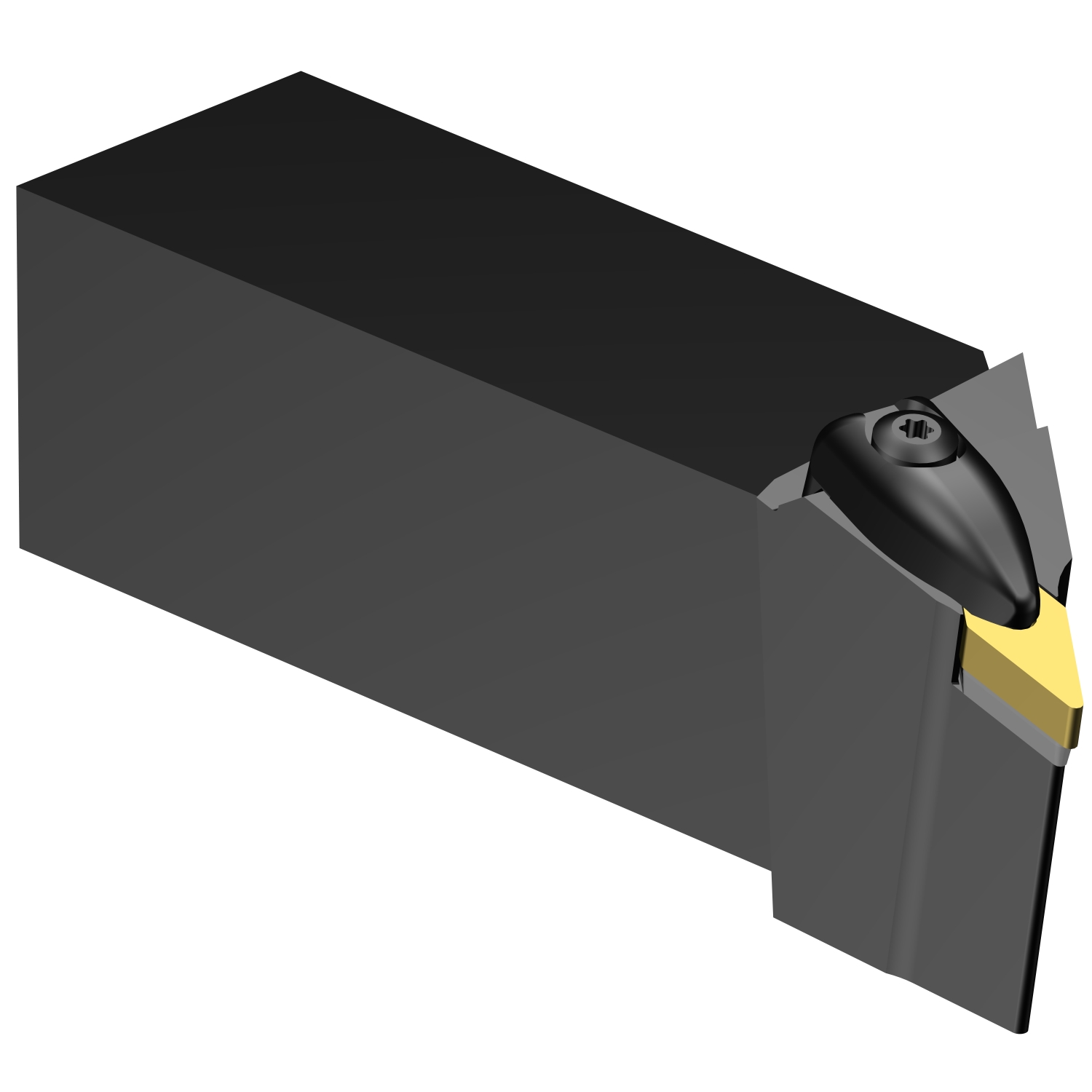 DVJNL 24 3D  T-Max® P shank tool for turning