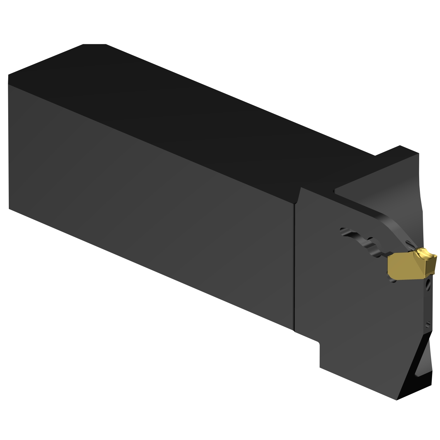 QS-QD-LFG1000C16D  CoroCut® QD QS shank tool for parting and grooving