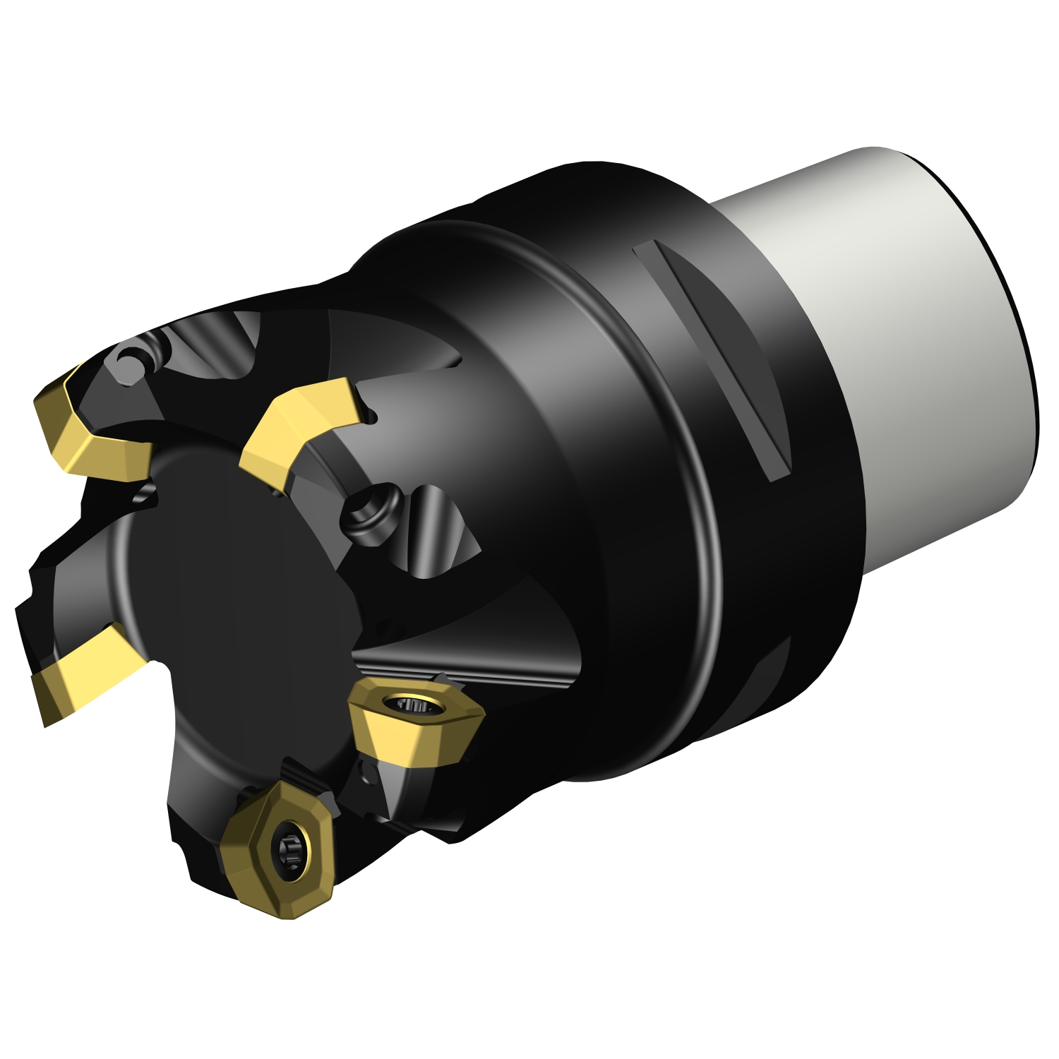 419-066C6-14M  CoroMill® 419 face milling cutter